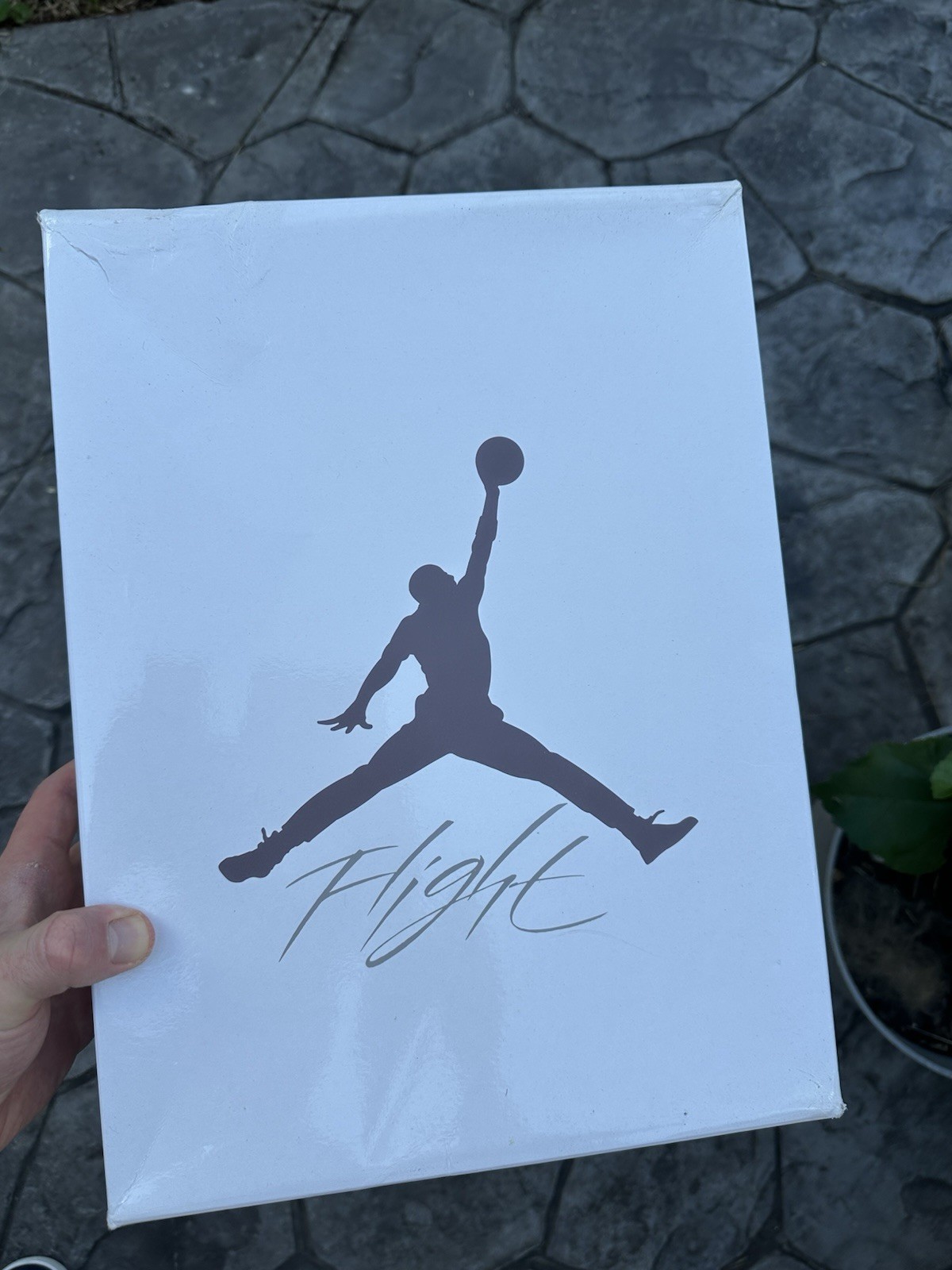 A Ma Maniere x Air Jordan 3 Retro SP Raised By Women DH3434-110 2021