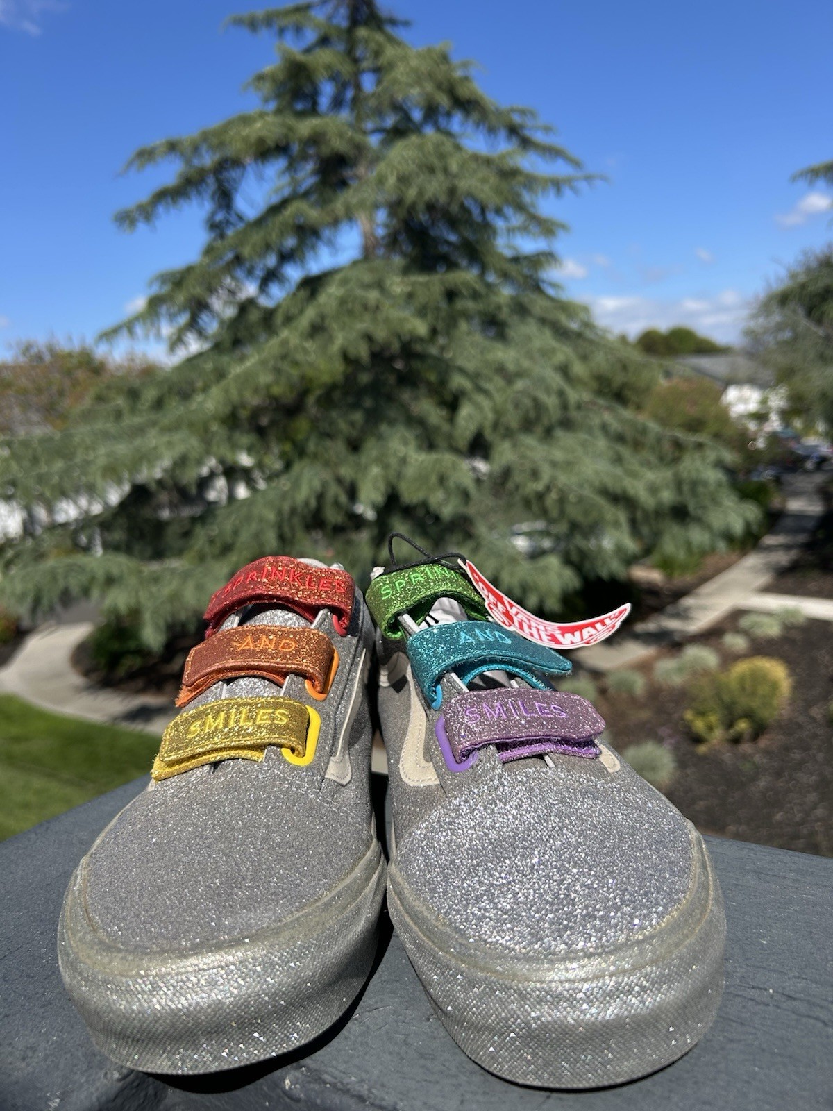 Vans x Flour Shop Old Skool Glitter Rainbow 🌈 Women’s 9.5 Hook-and-Loop Shoes