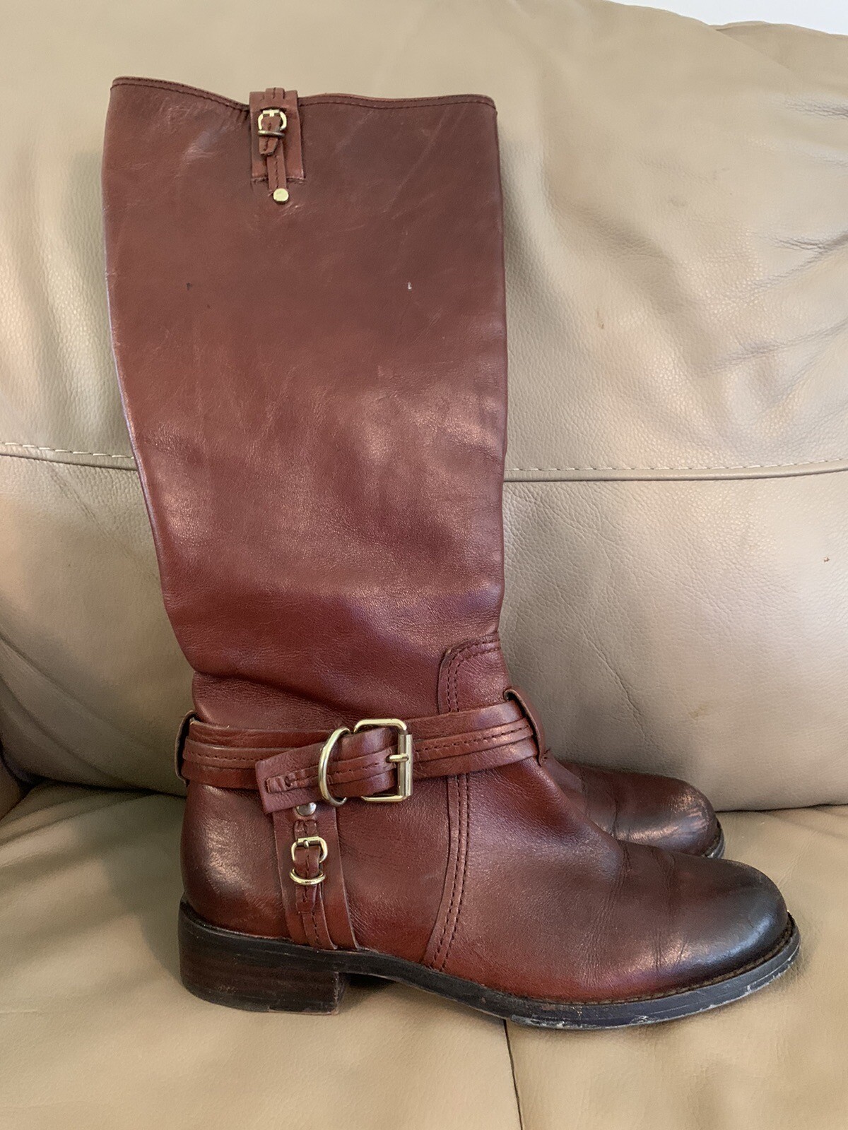 vince camuto