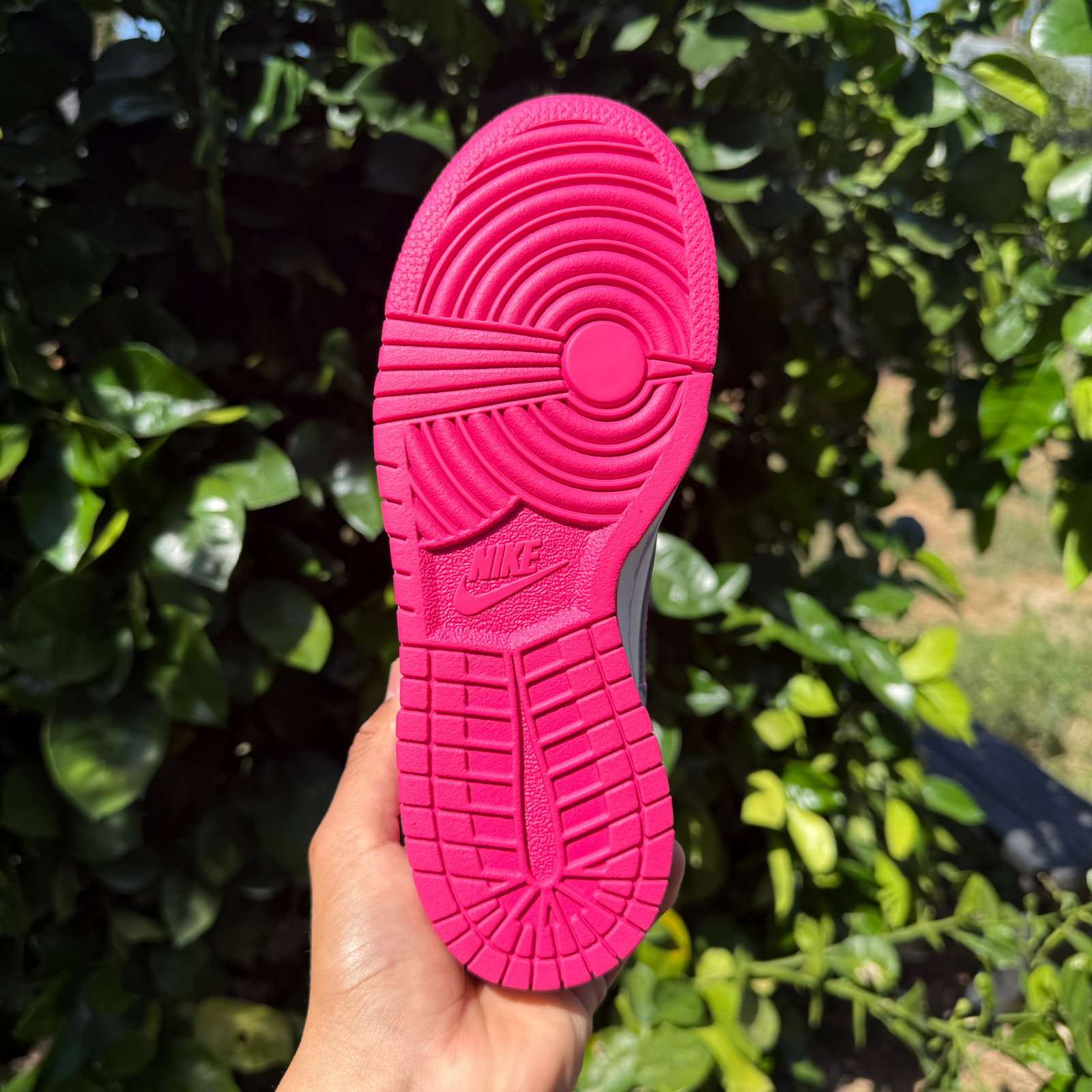 Nike Dunk Low Laser Fuchsia Pink GS / Women Sizes FB9109-102 New! Fast Ship!