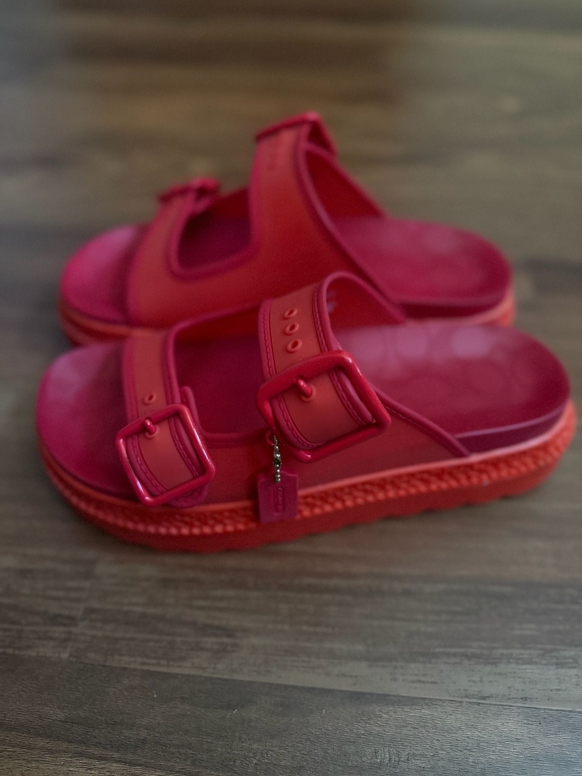 Coach Lucy Platform Rubber Sandal