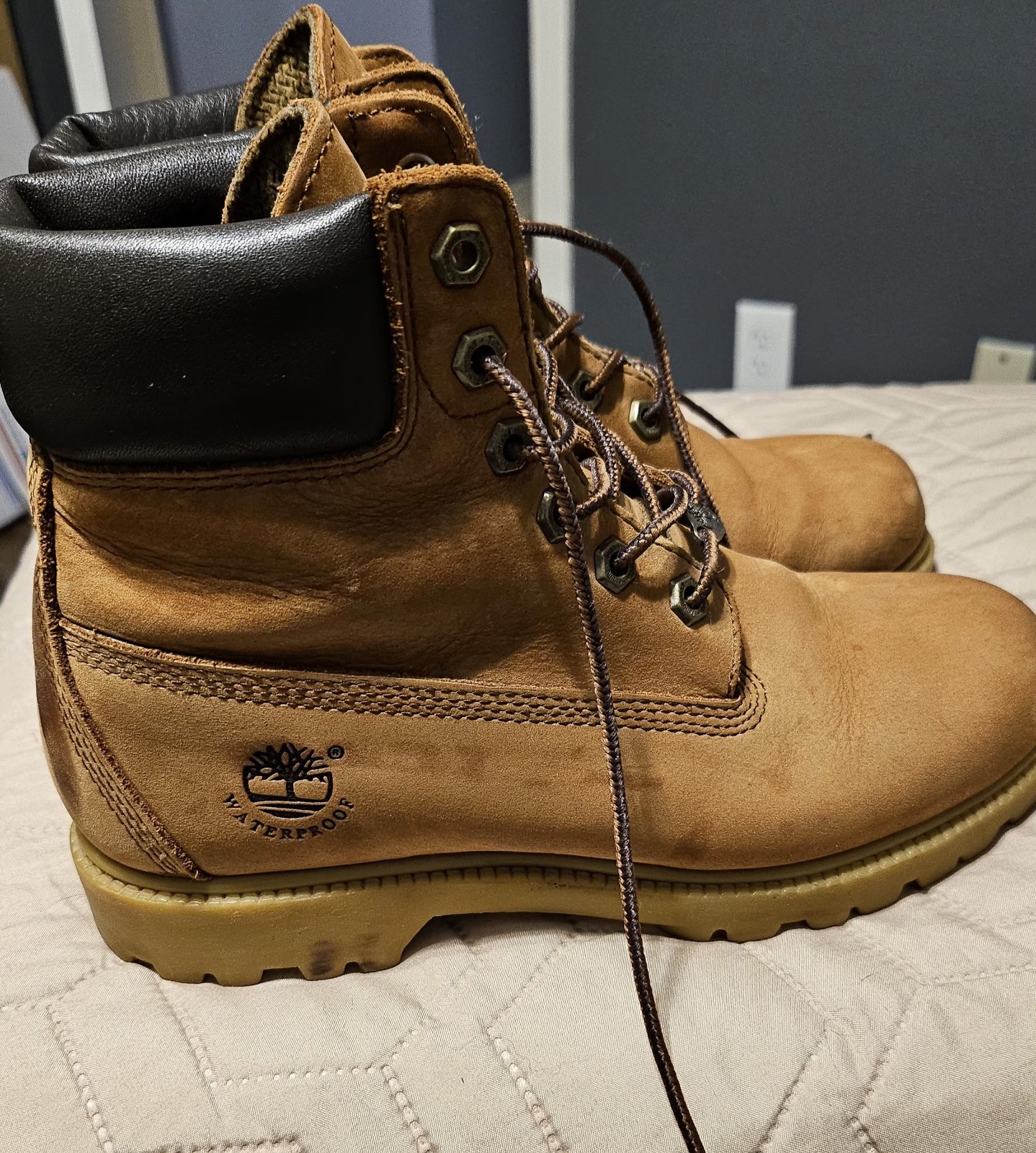 Women’s Timberland® 6-Inch Waterproof Boot Size 7.5M