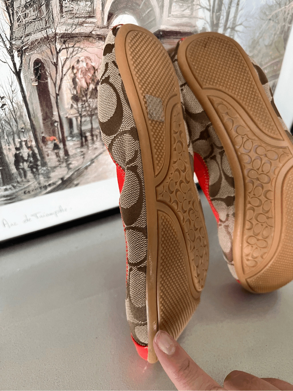 Coach Wanda Ballerina Flat