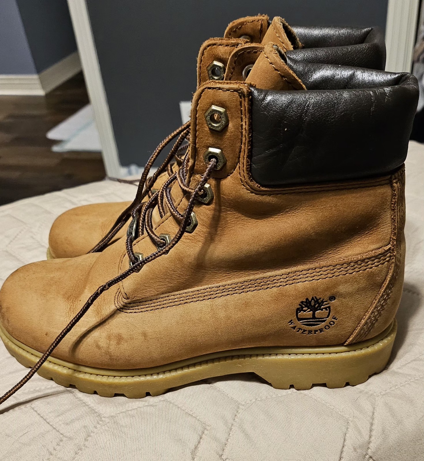 Women’s Timberland® 6-Inch Waterproof Boot Size 7.5M