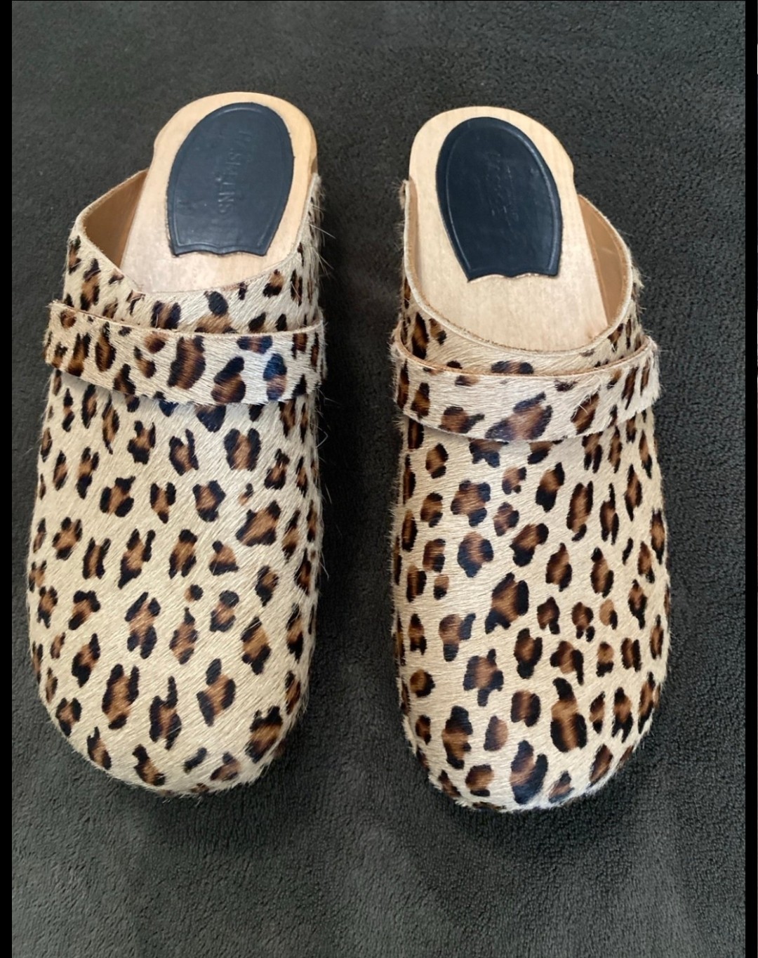 Swedish Hasbeens leopard “Husband Clogs”.size 39(8.5 Women US)