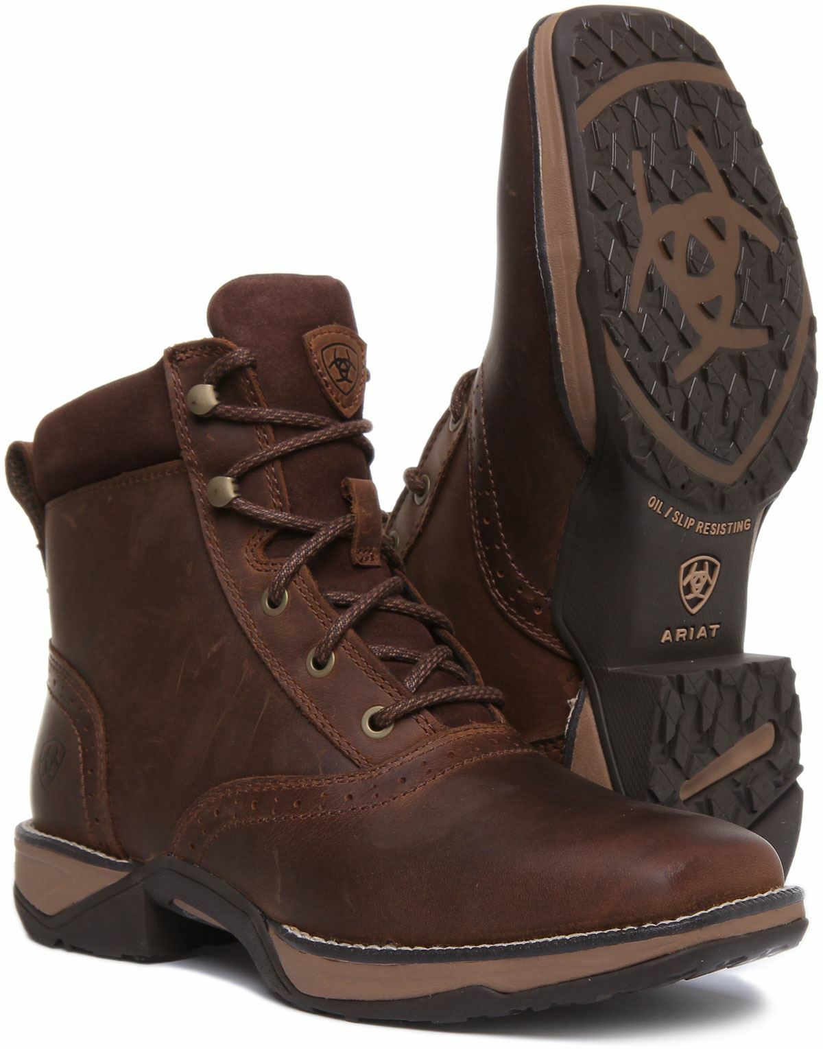 Ariat Anthem Lacer In Dark Brown Square Toe Lace Up Ankle Boots Size US 4 – 8