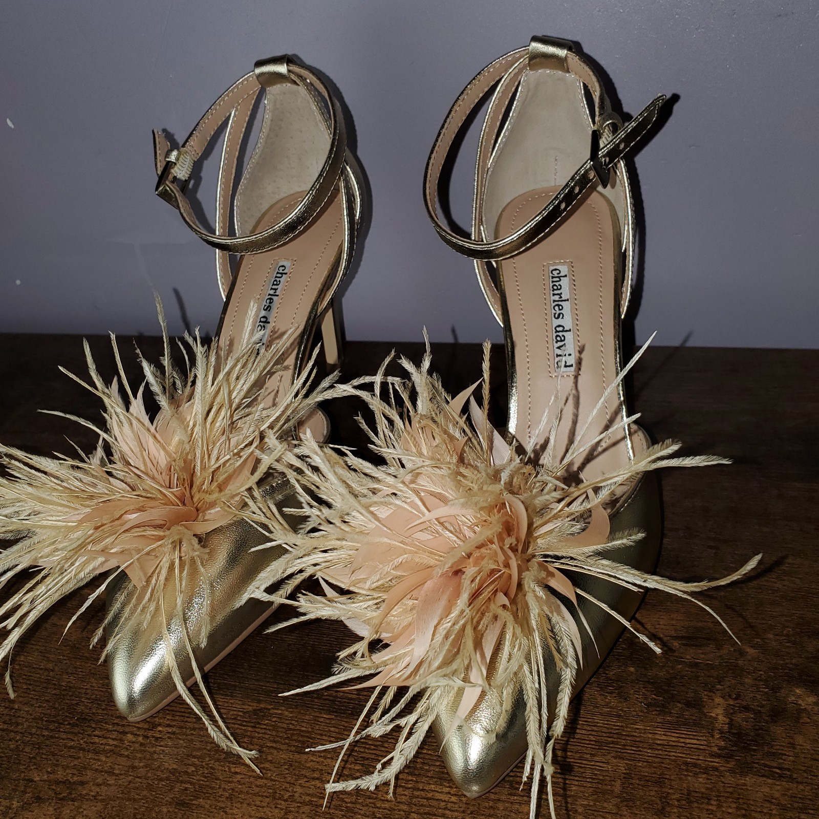 Charles David Violate Heels (Brand New)