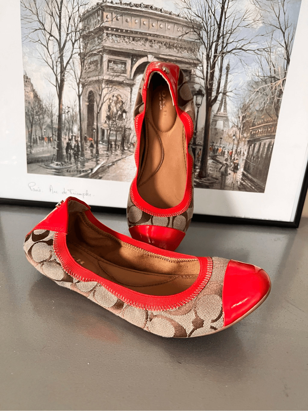 Coach Wanda Ballerina Flat