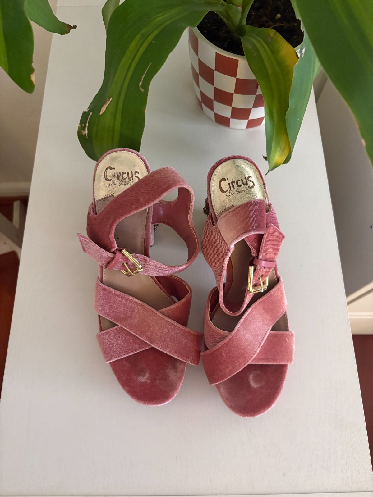 Pink Pumps / Circus Brand / Size 9 in womens / visible wear but good condition