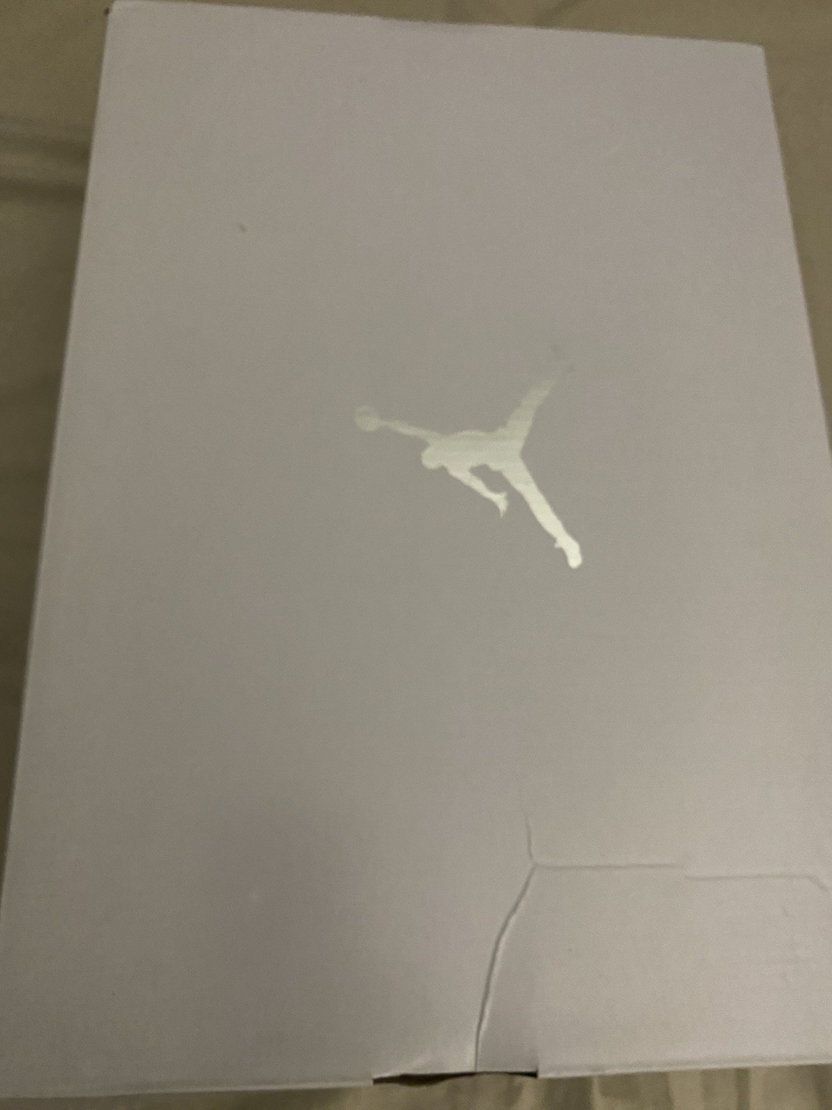 Air Jordan 1 Low SE Women’s Sneakers