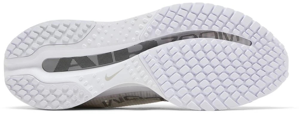 Nike Pegasus Premium Women’s Multi Size Vast Grey/Metallic Silver HQ2593-005