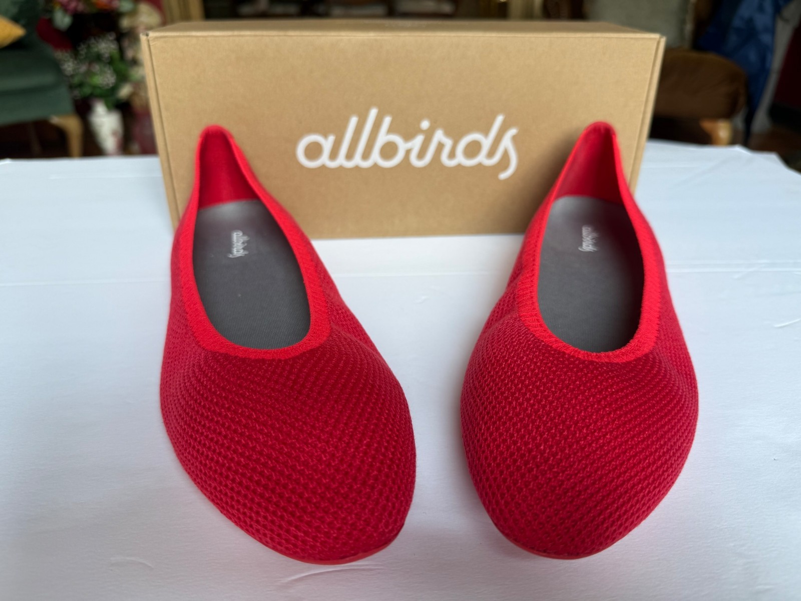 NEW Allbirds Tree Breezers Bloom Red Ballet Flats Women’s Size 9 w/ Box