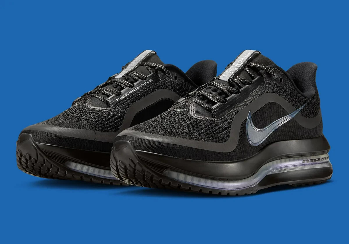 Nike Pegasus Premium Metallic Silver HQ2593-004 Size 7.5W + $20 Discount!