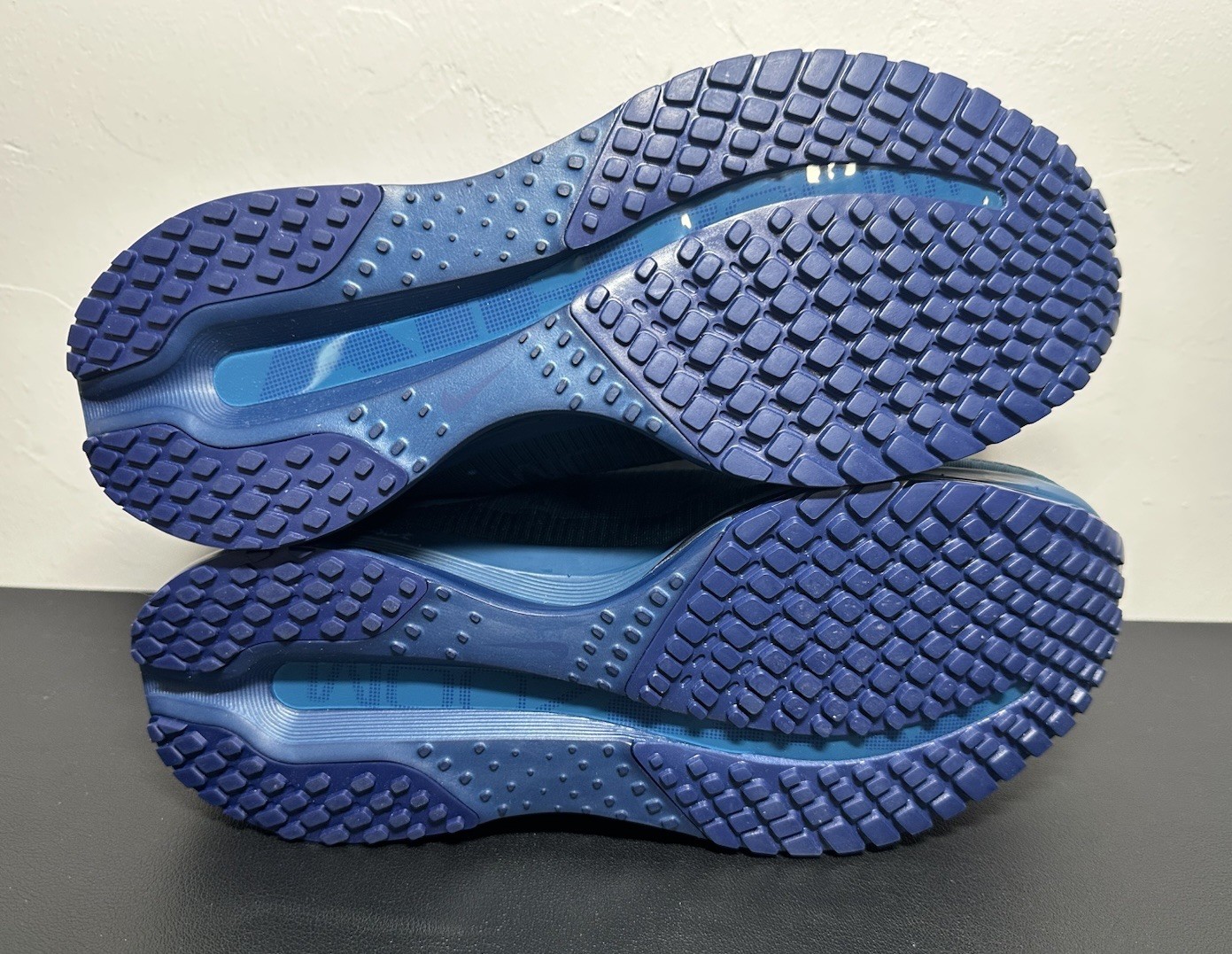 Nike Pegasus Premium Swarovski® Crystals Blue IM7384 499 Women’s Size 8, No Lid