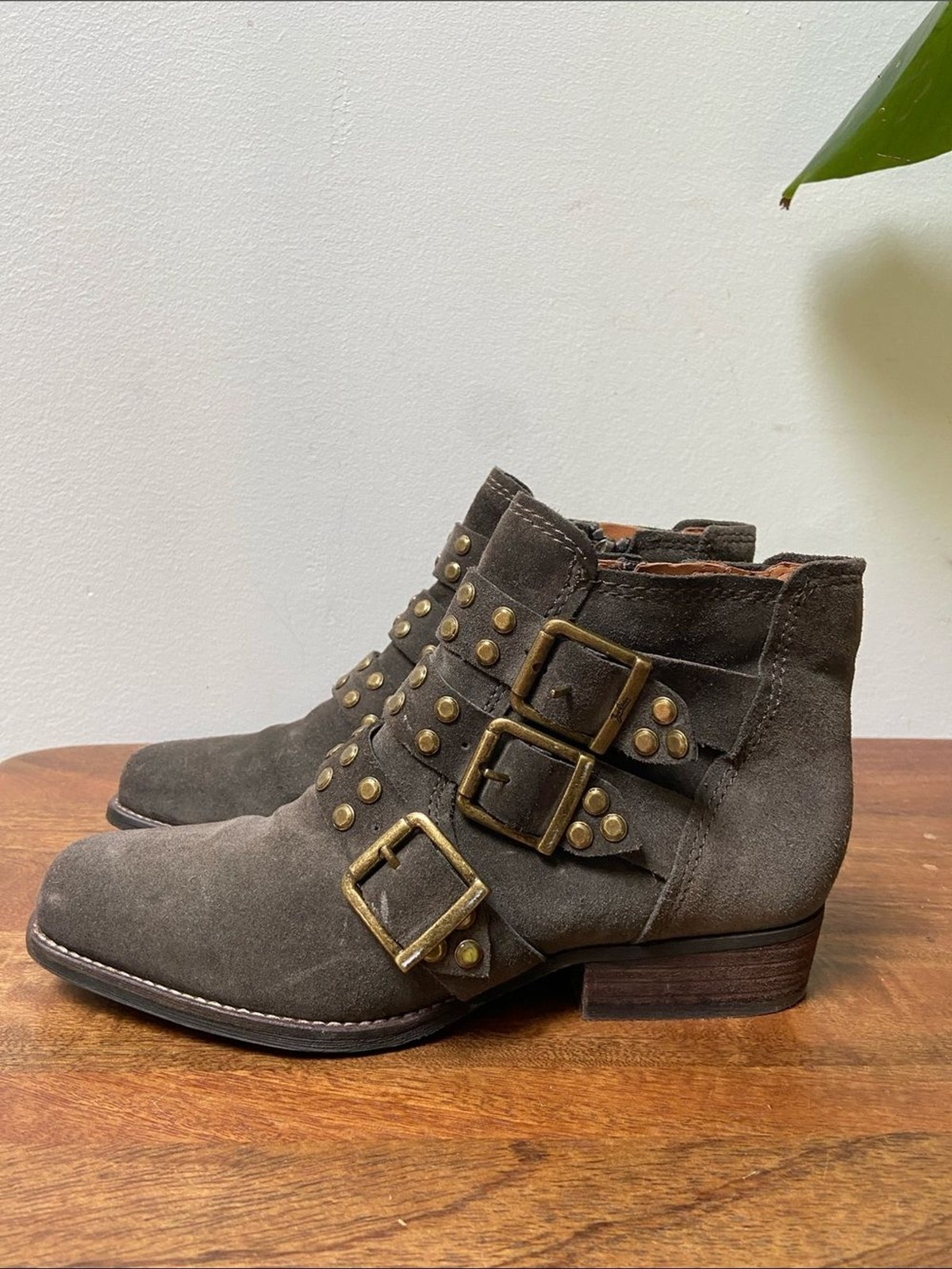 Zodiac Adele Suede Studded Buckle Ankle Boots