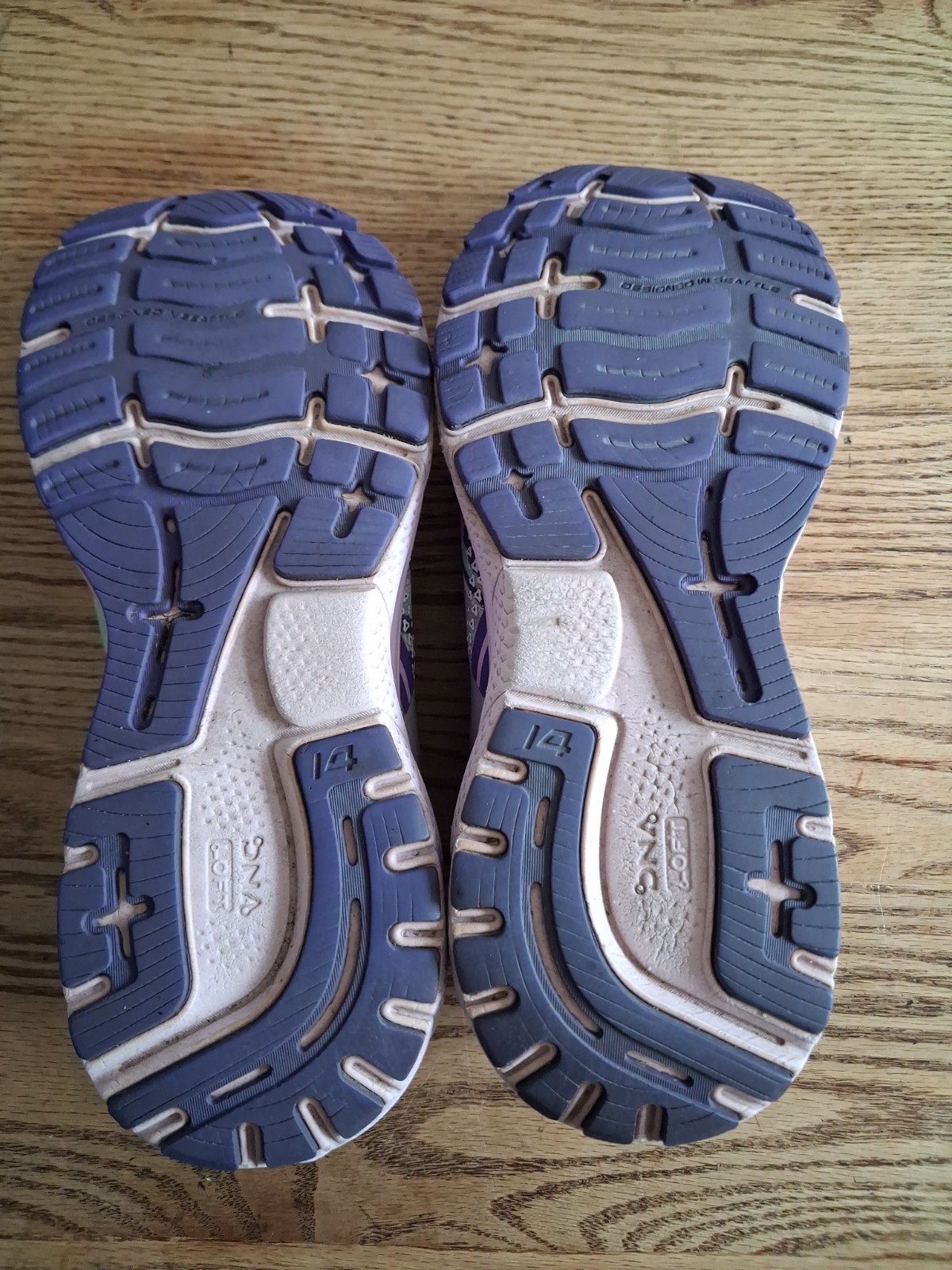 Brooks Ghost 14 Unity Together Run Walk Train Purple 1203561B524 Womens Sz 9