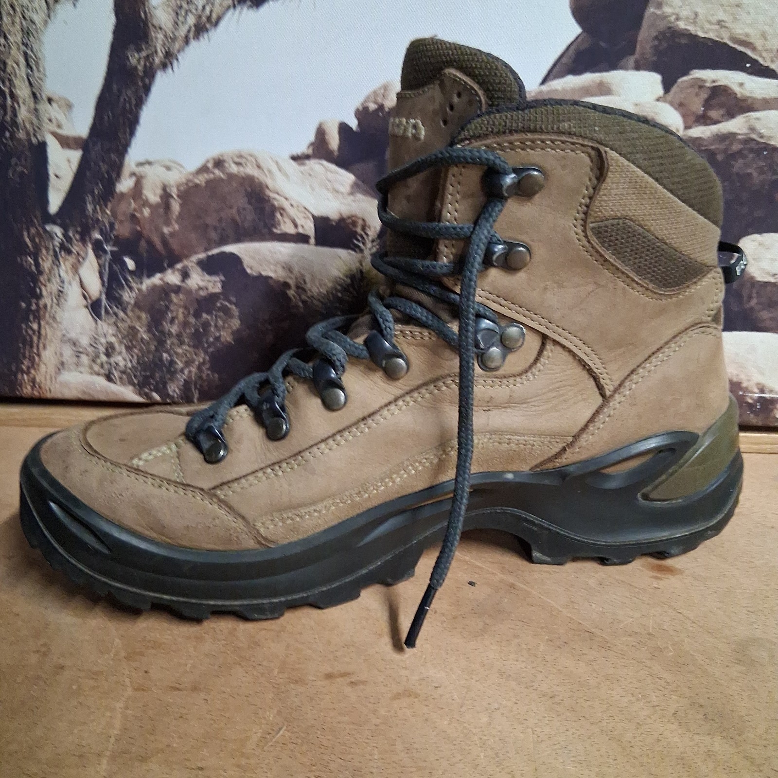 LOWA Renegade GTX Mid Women’s 8 Hiking Boots Leather GORE-TEX Vibram Gorpcore