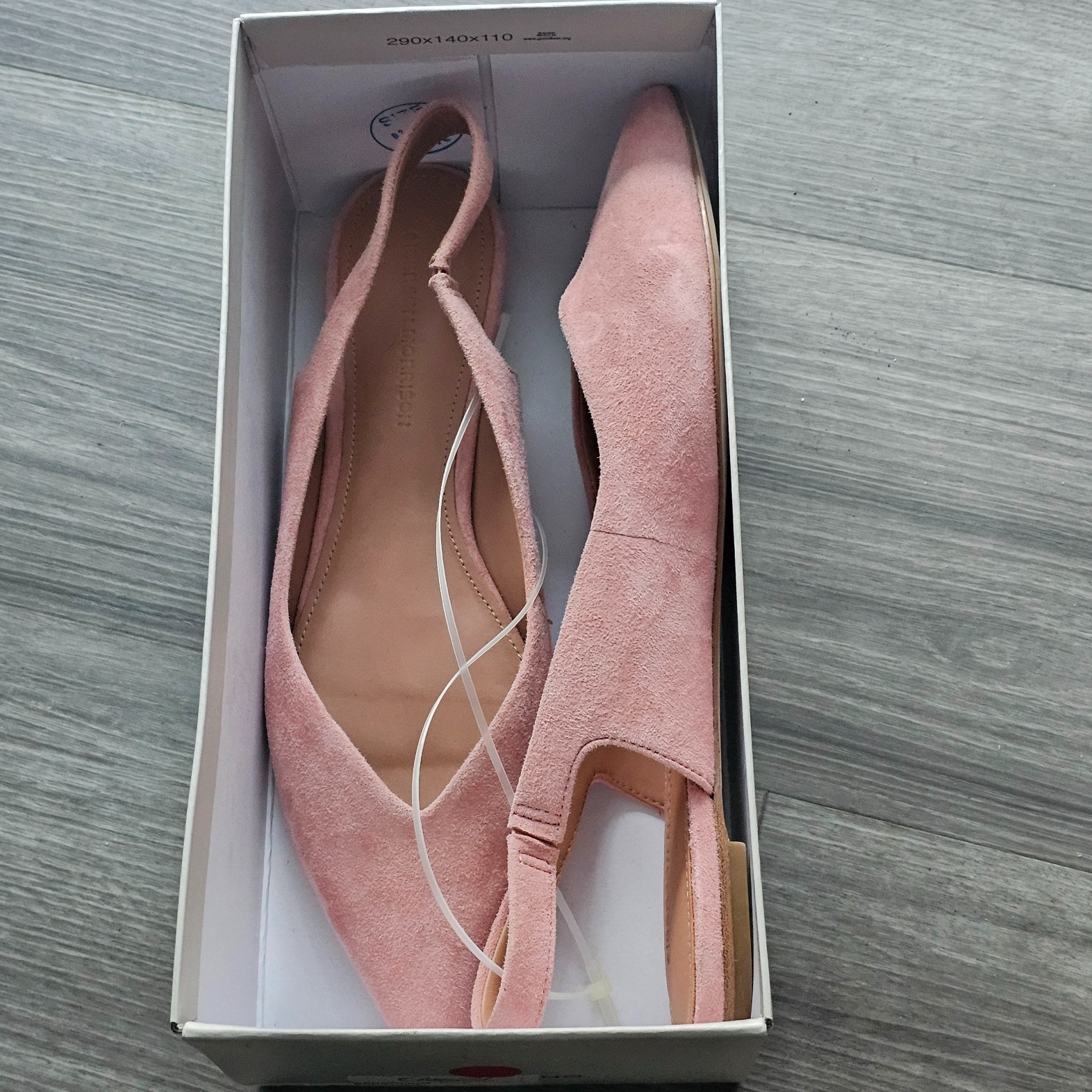 Sigerson Morrison Sunshine Slingback Flat Sandals Pointed toe, Pale Melon, 10
