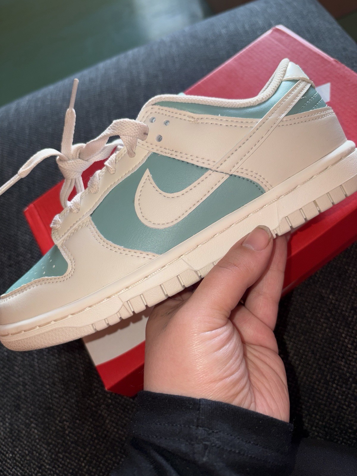 Nike Dunk Low Cannon Light Orewood Brown Women’s Leather Sneakers IM6572-001