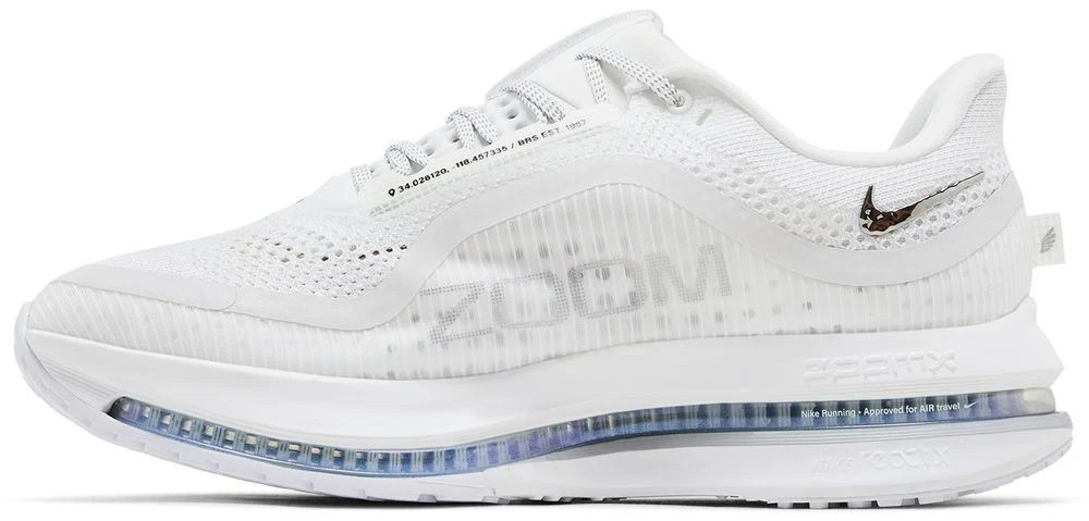Nike Pegasus Premium Women’s Multi Size Vast Grey/Metallic Silver HQ2593-005