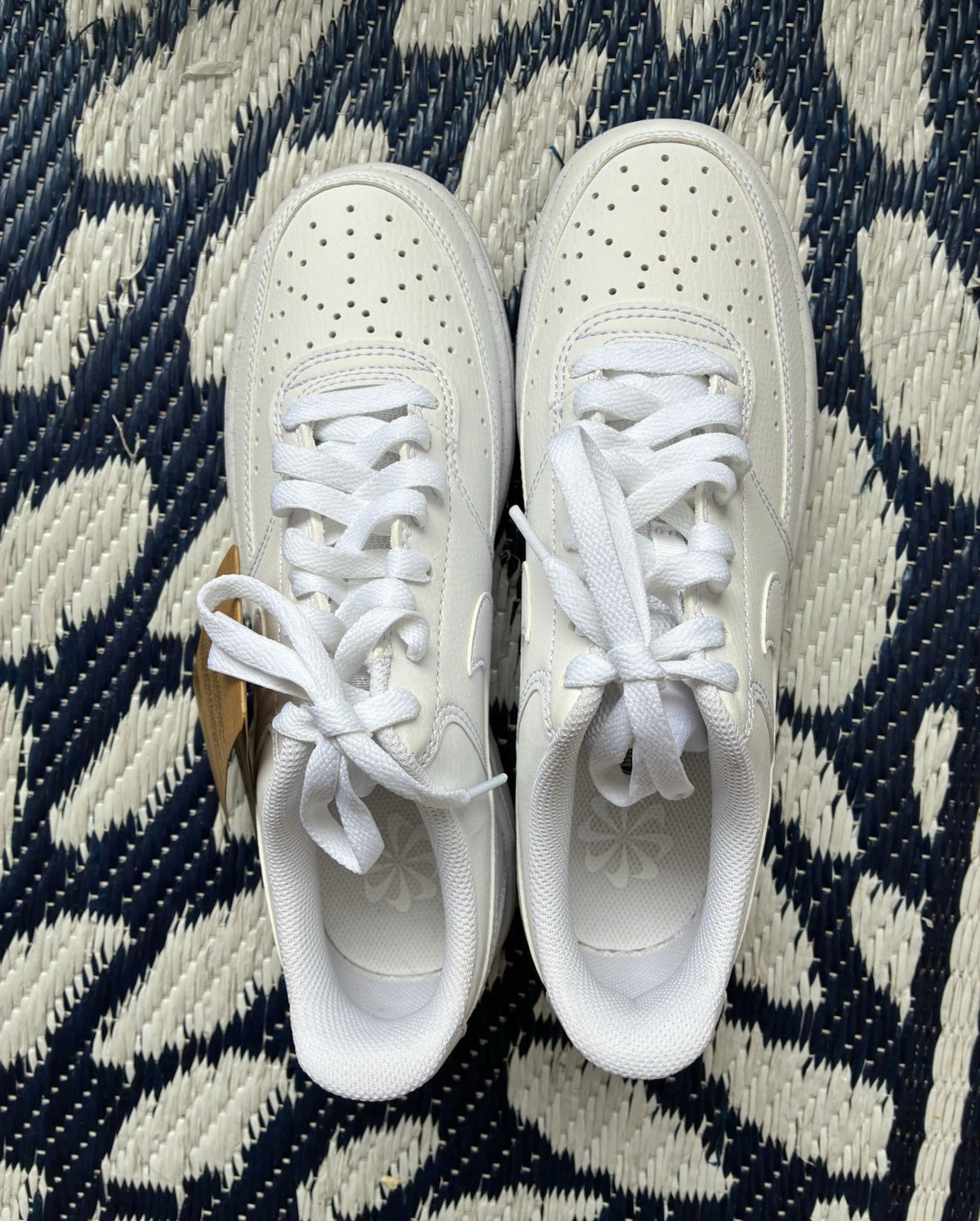 Nike Air Court vision low next nature