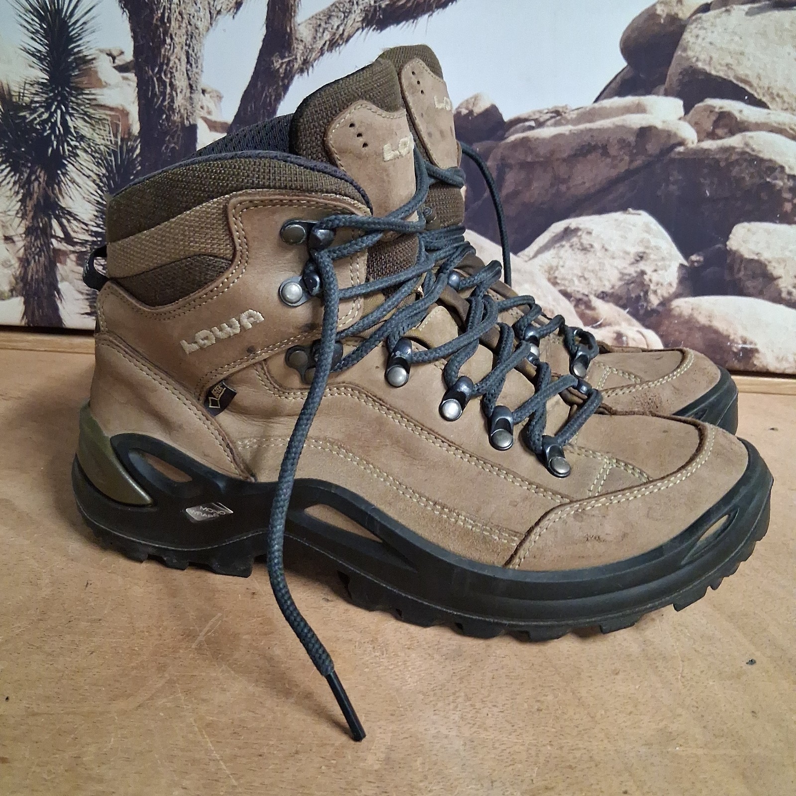 LOWA Renegade GTX Mid Women’s 8 Hiking Boots Leather GORE-TEX Vibram Gorpcore
