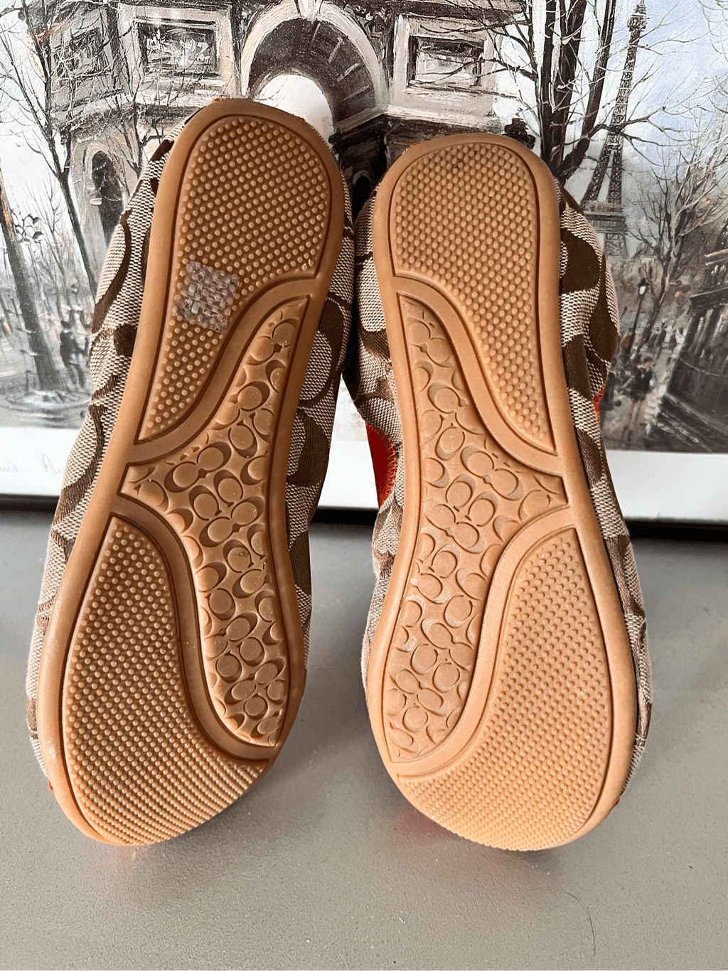 Coach Wanda Ballerina Flat