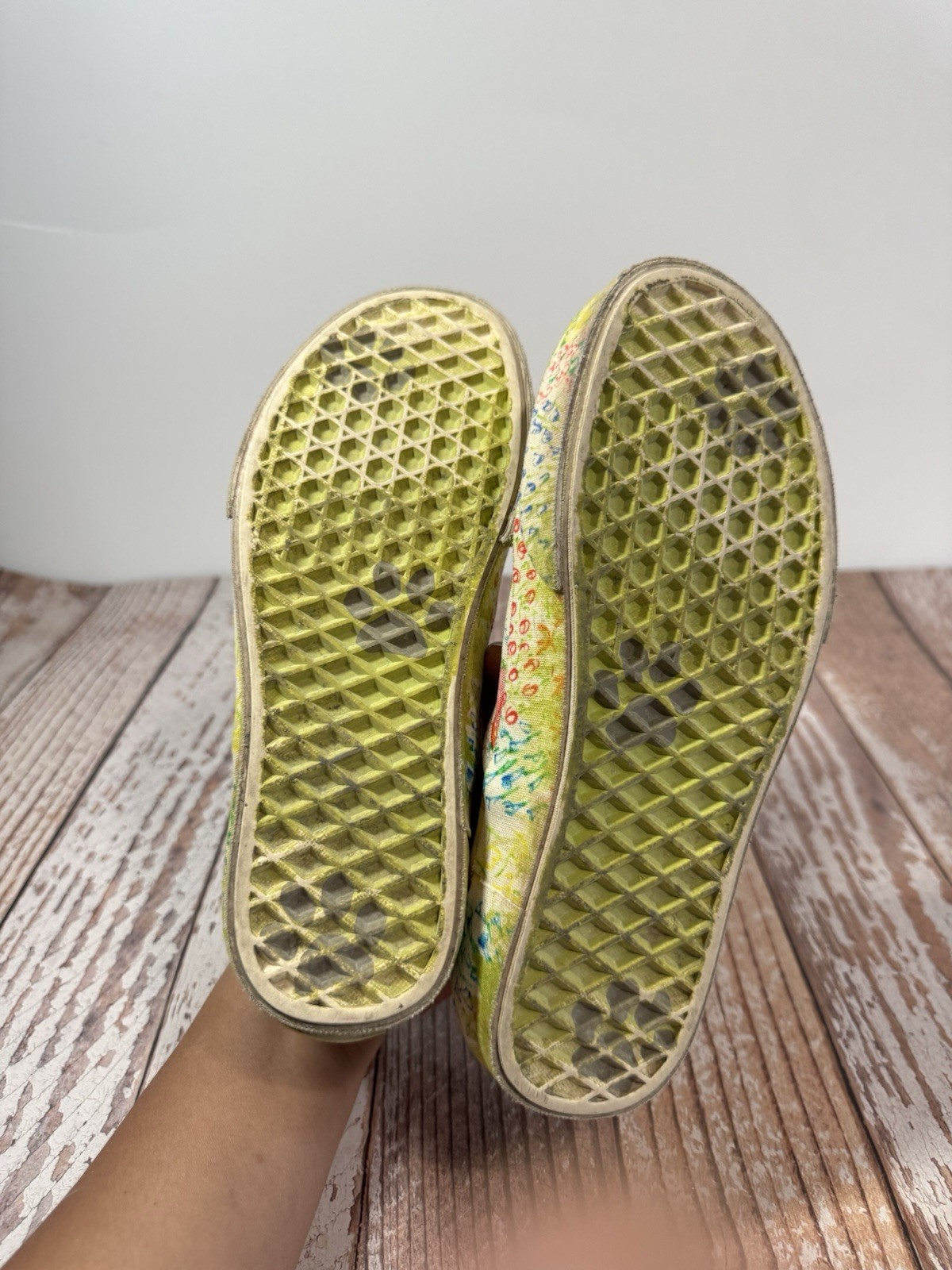 VANS Classic Slip-On Collina Strada Canvas Sneaker Beige Multicolor Graphic