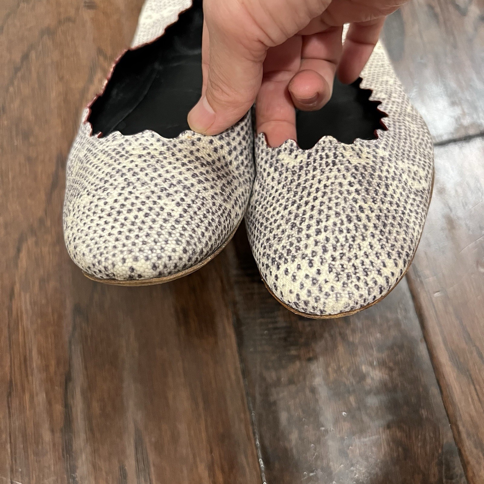 Chloé Lauren Python White/Grey Snakeskin-Embossed Leather