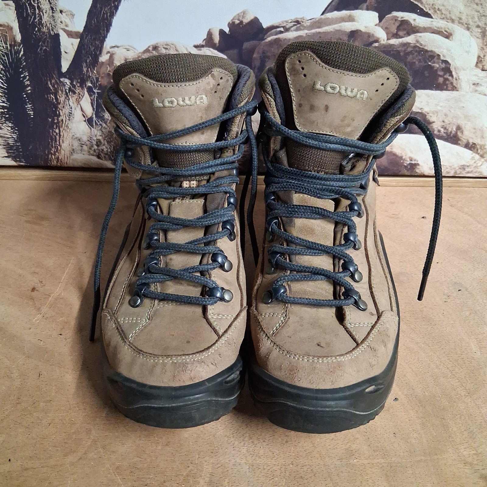 LOWA Renegade GTX Mid Women’s 8 Hiking Boots Leather GORE-TEX Vibram Gorpcore