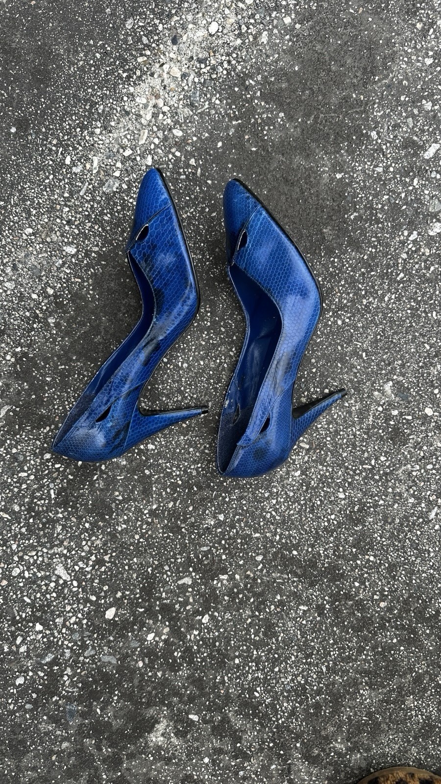 Predictions Pump Heels Shoes Blue Genuine Leather Snakeskin
