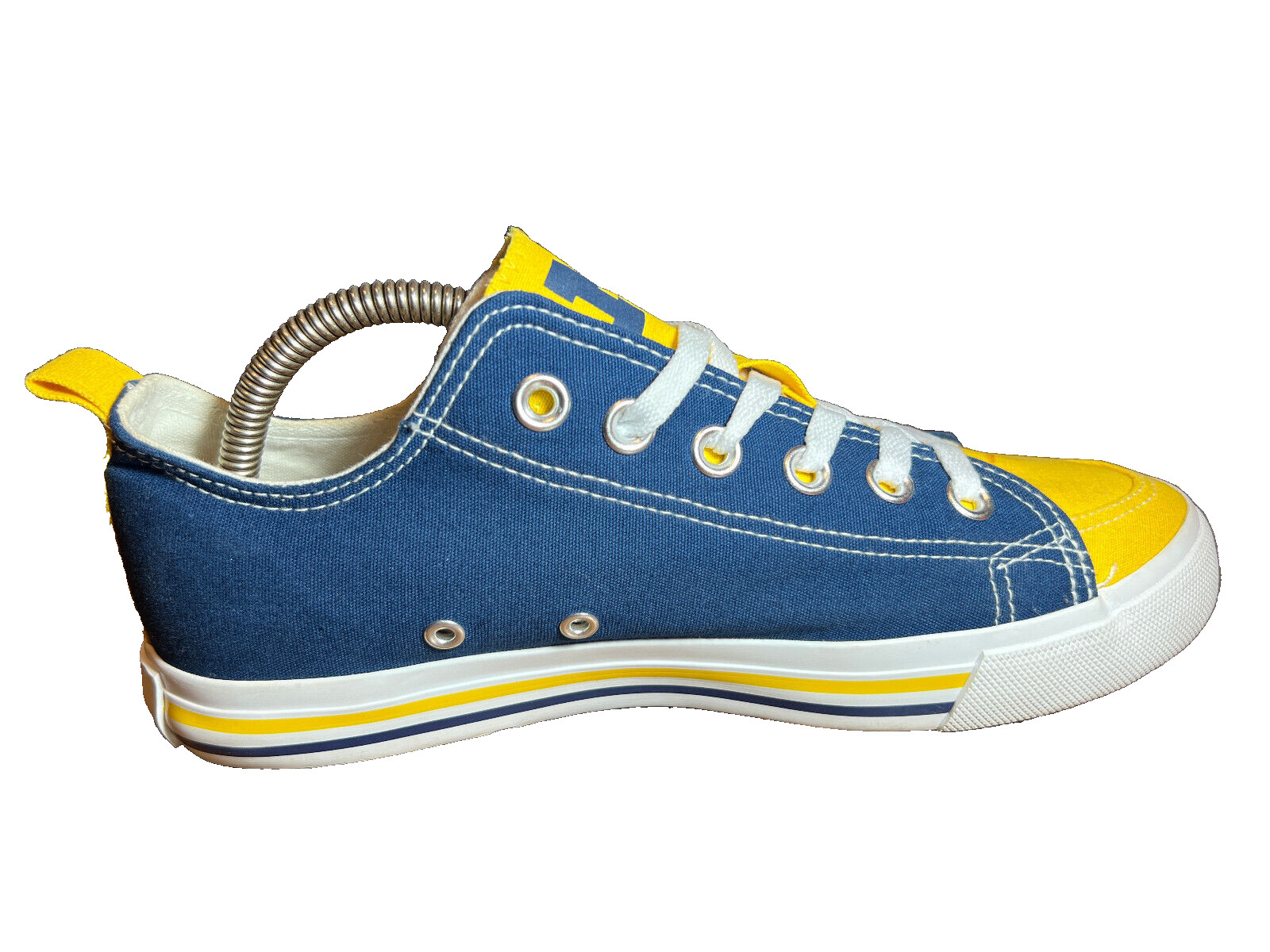 SKICKS University of Michigan Low Canvas Skate Sneakers Maize & Blue Women Sz 8M