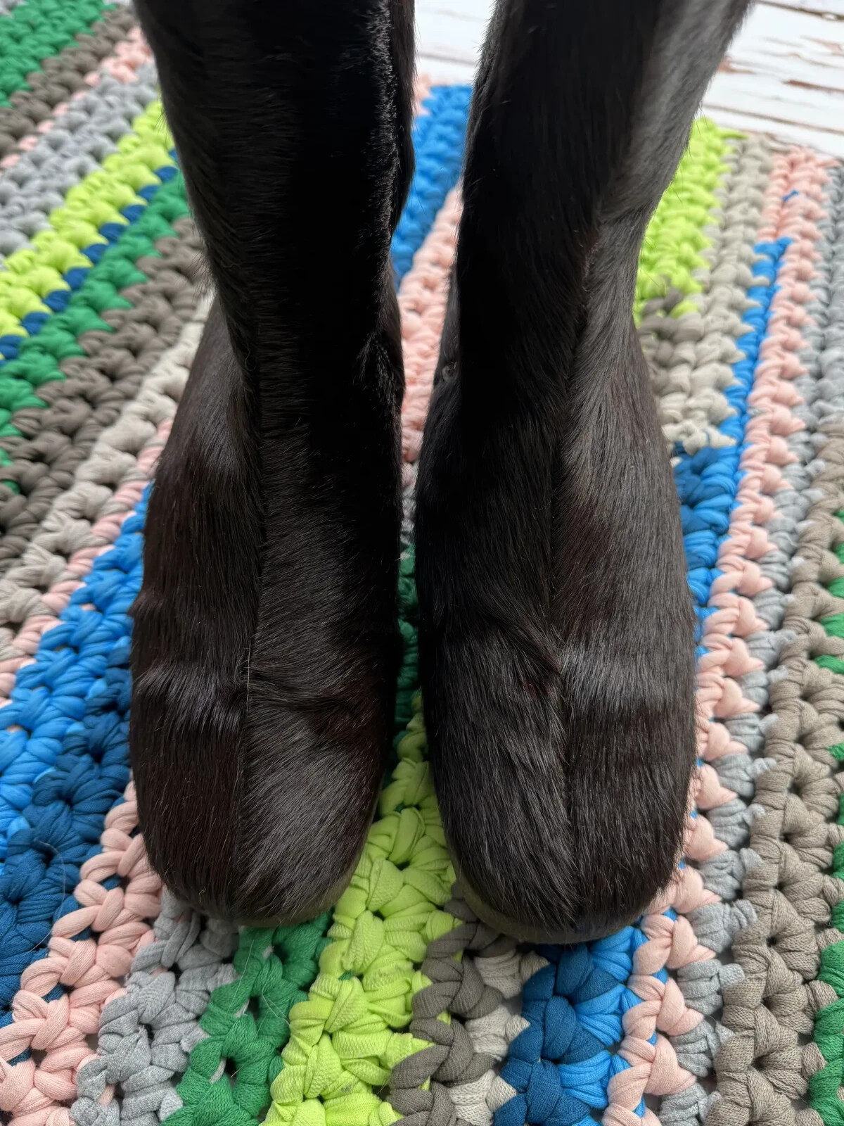 Vintage Women Real Fur Calf Hair Mid Calf Boots Chunky Sole Winter Leather Shoes