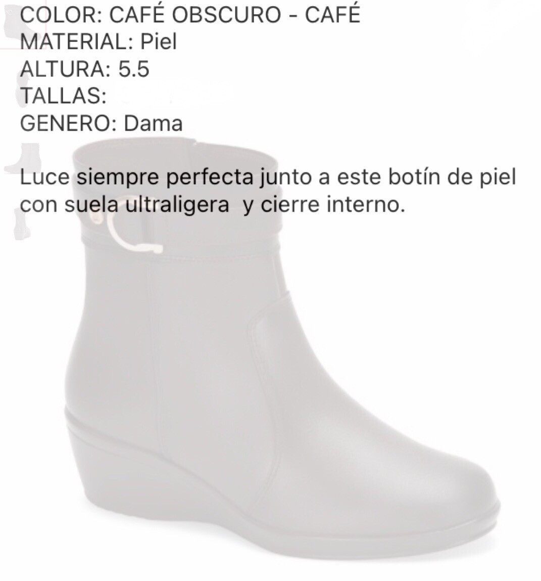 Botas Andrea. Botines Café de mujer.