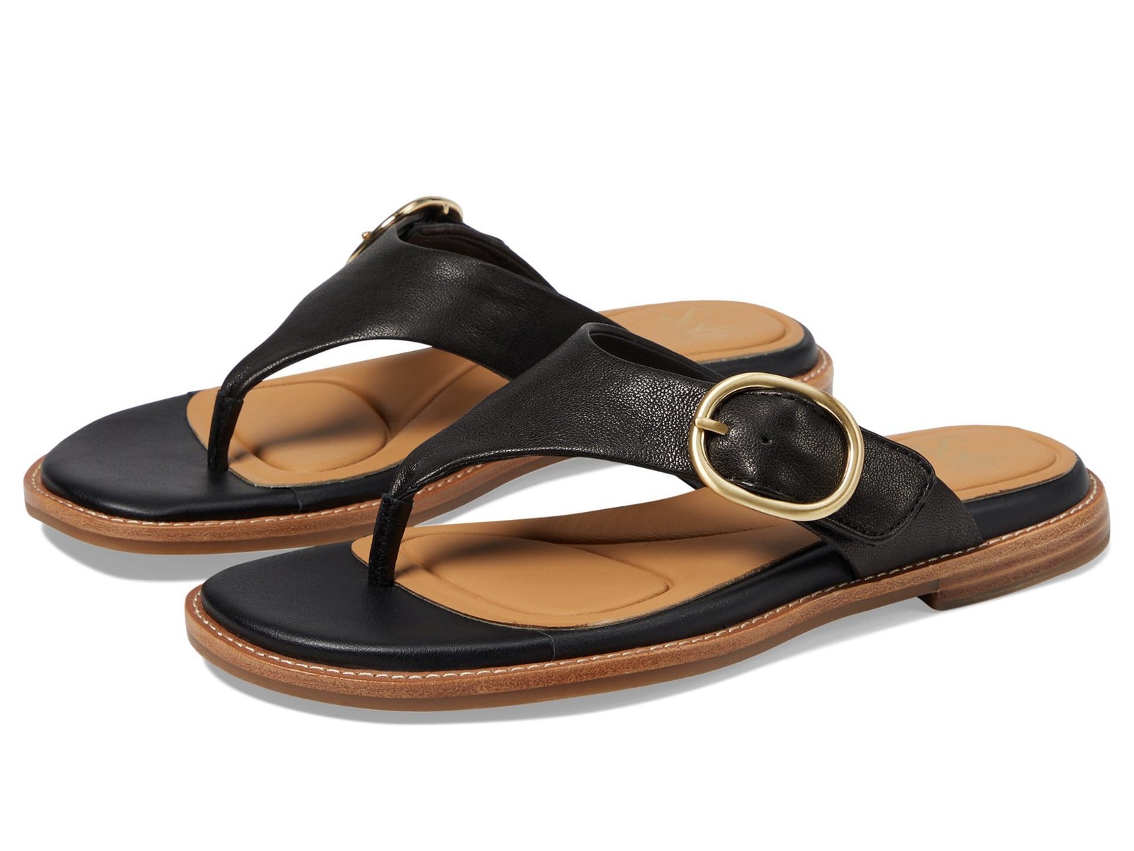 Sofft Women’s Nancia Black 8.5 Medium