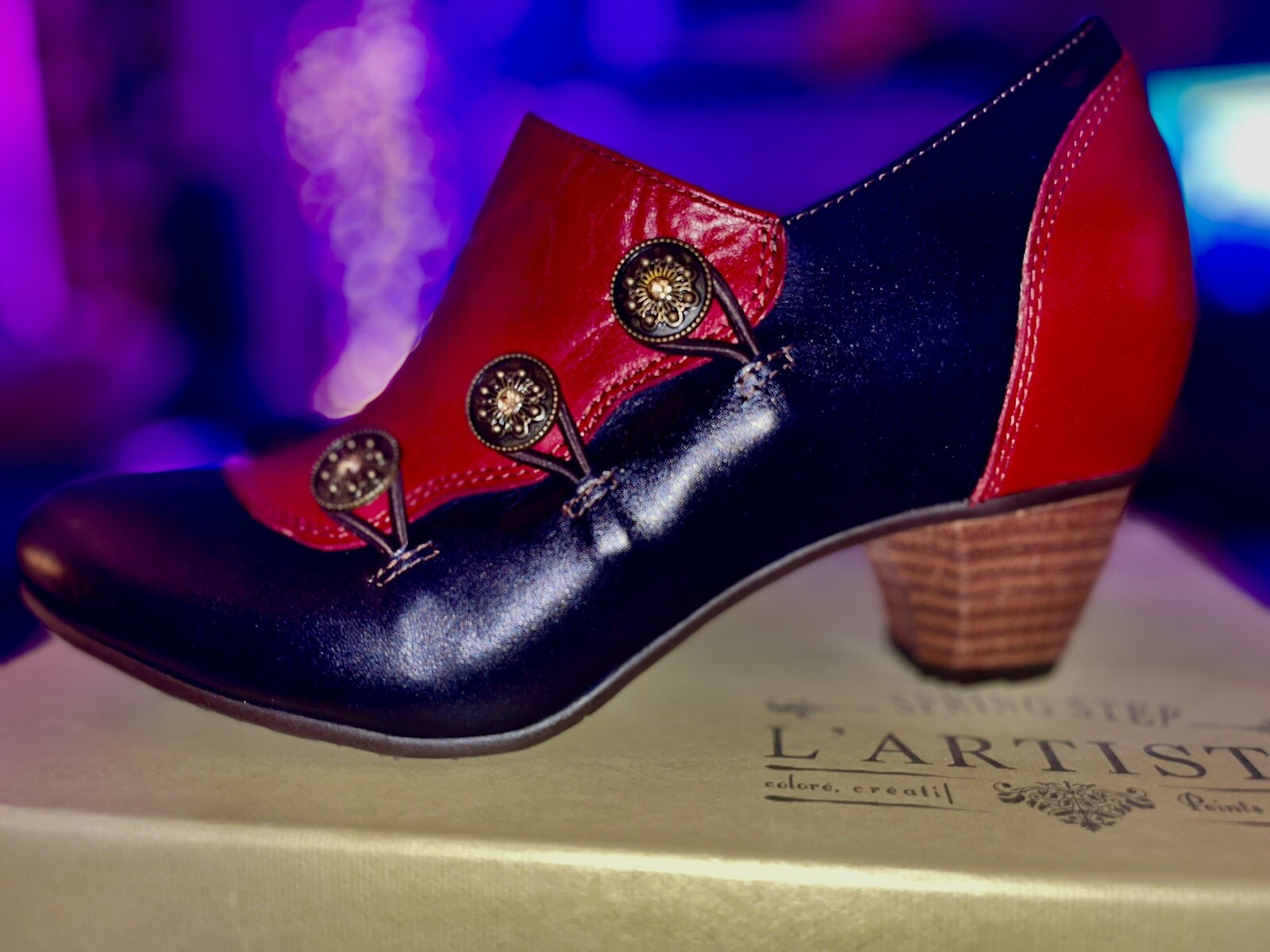 Lartiste GREENTEA Shoes Dark Red And Black Multi NIB Steampunk