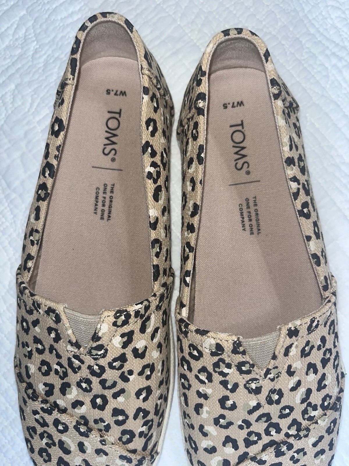 Tom’s Shoes