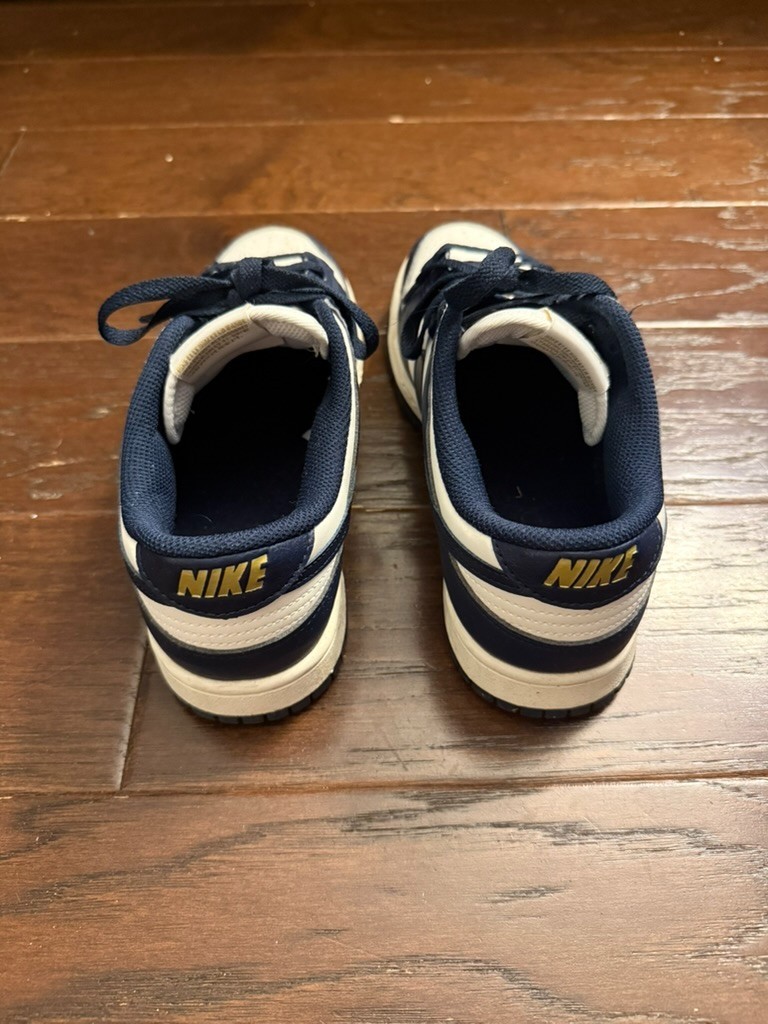Size 9 – Nike Dunk Next Nature Low Olympic W. Phantom/Pale Ivory/Metallic Gold/O