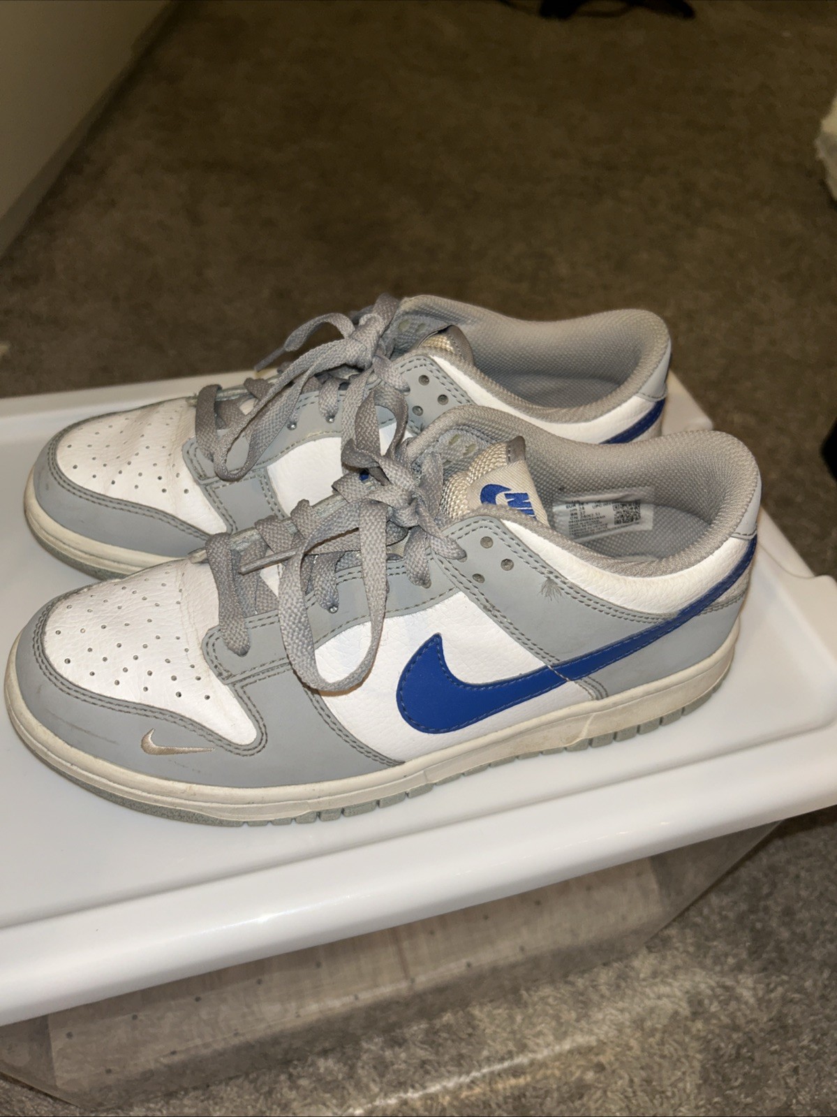Nike Low Dunks Light Smoke Gray