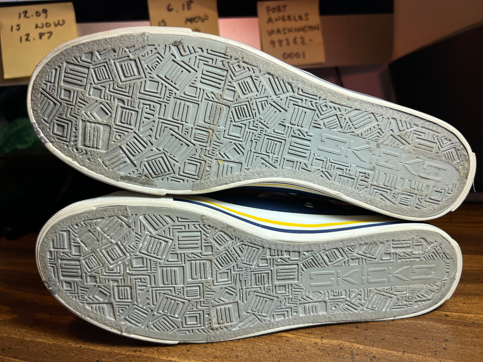 SKICKS University of Michigan Low Canvas Skate Sneakers Maize & Blue Women Sz 8M