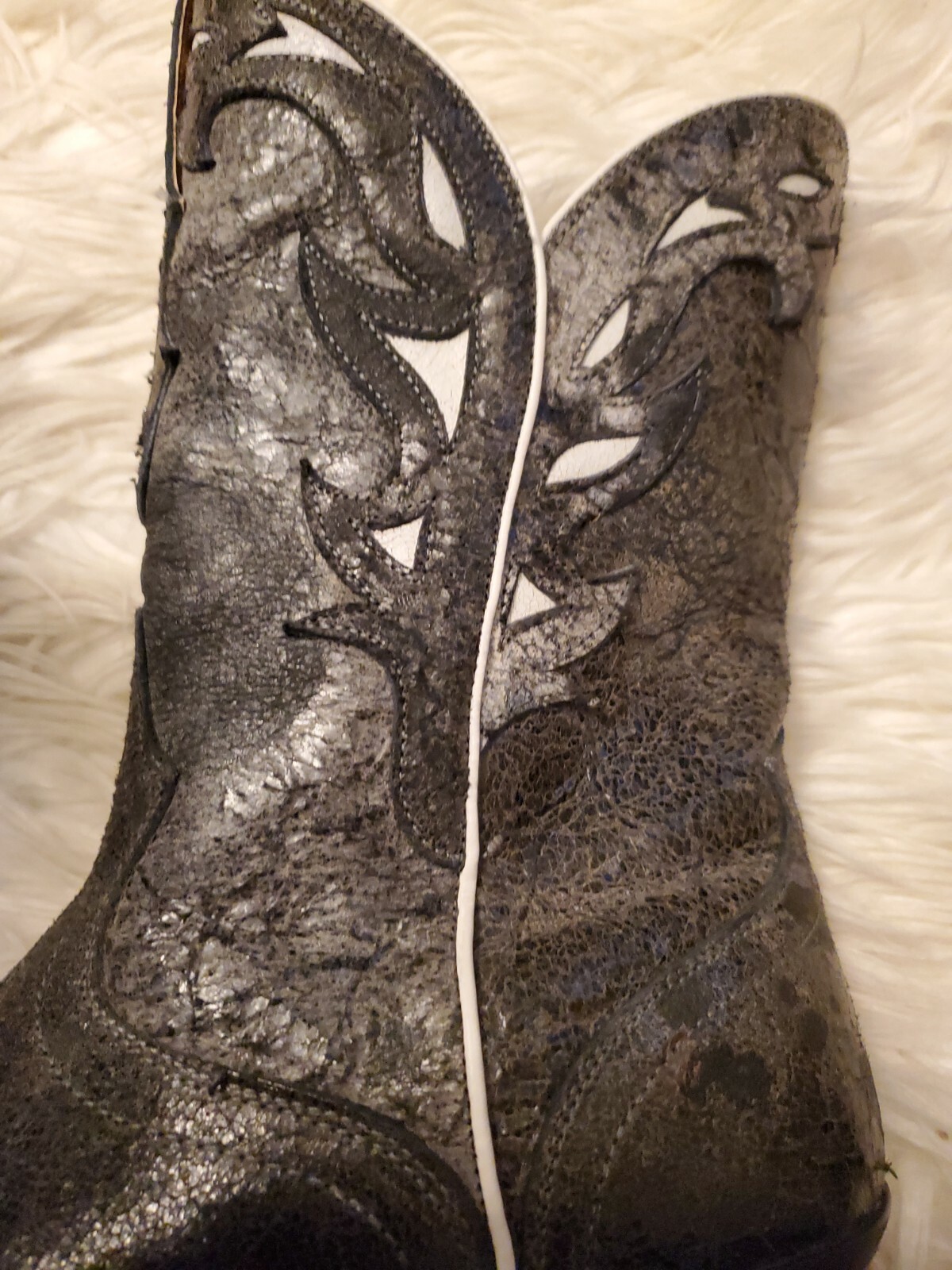 ariat boots