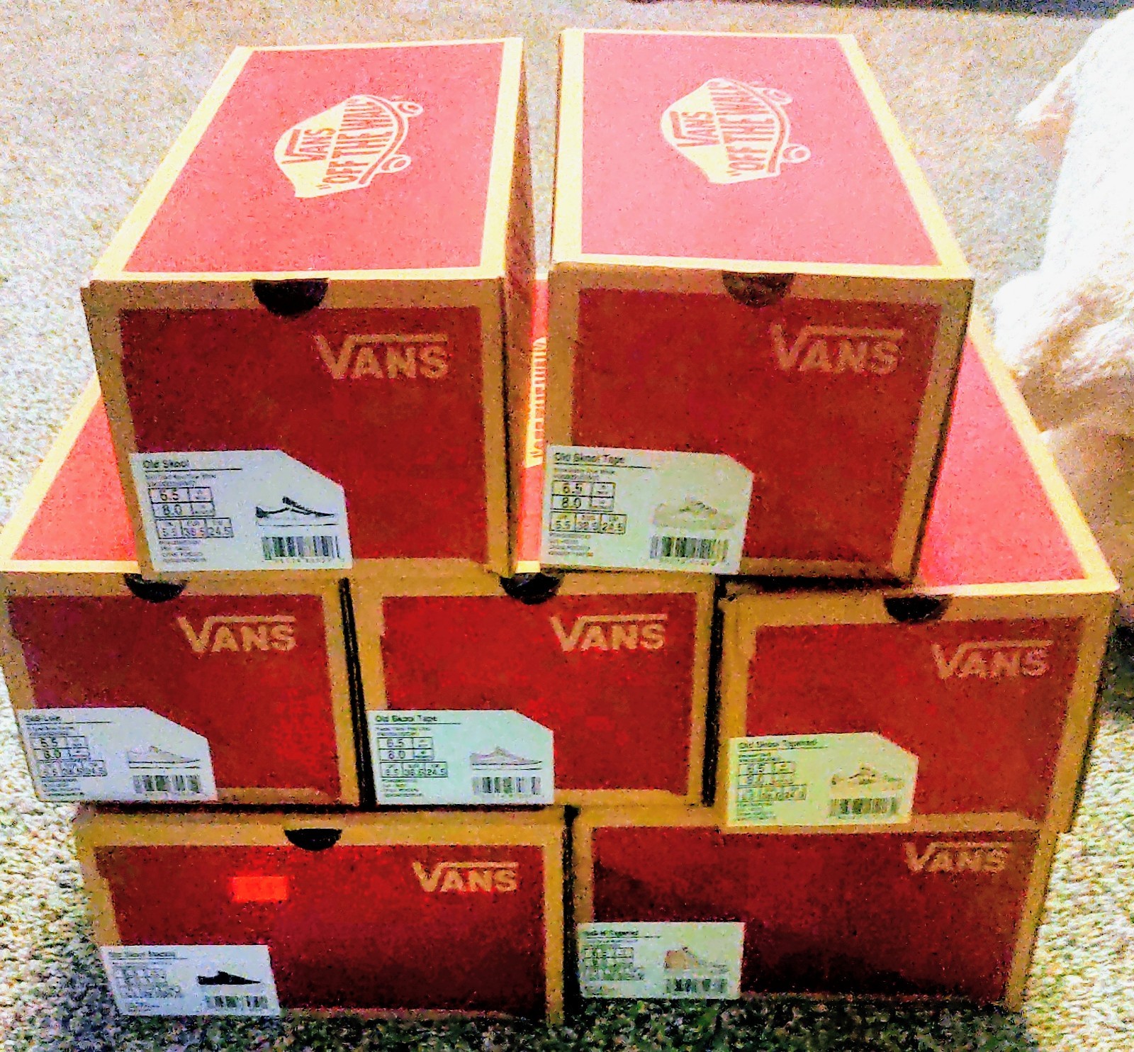 New In Box Vans Womens Size 8 Old Skool Tapered- Bouquet Floral Print.