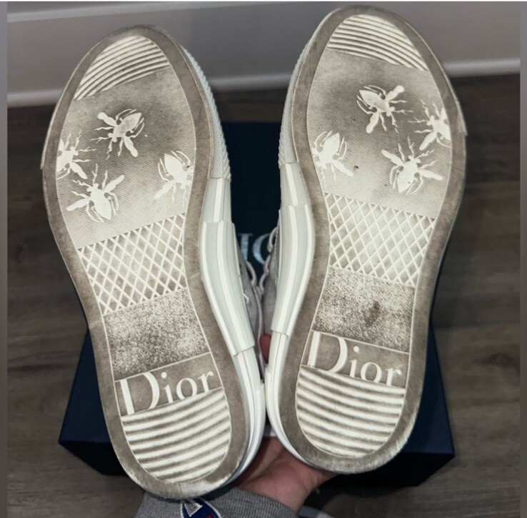 DIOR B23 High Top Sneakers White