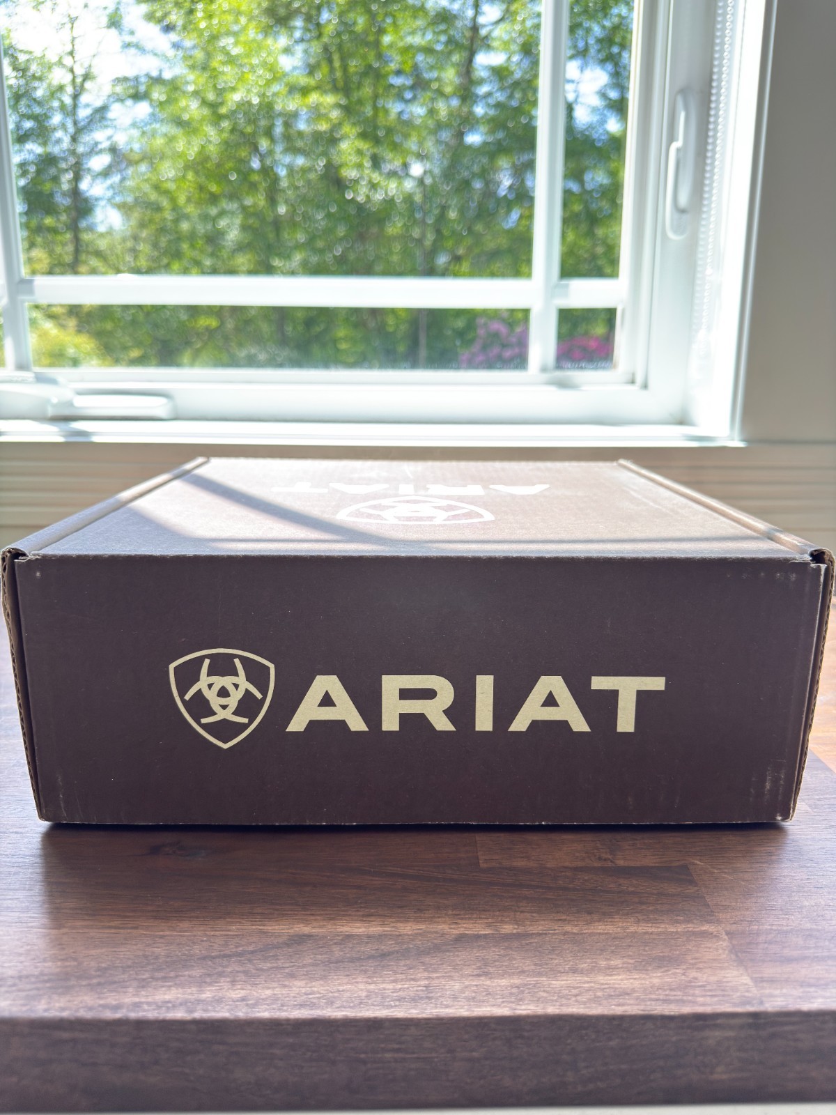 Ariat Dixon Weathered Brown Ankle Boots NIB Womens 8B 10027282