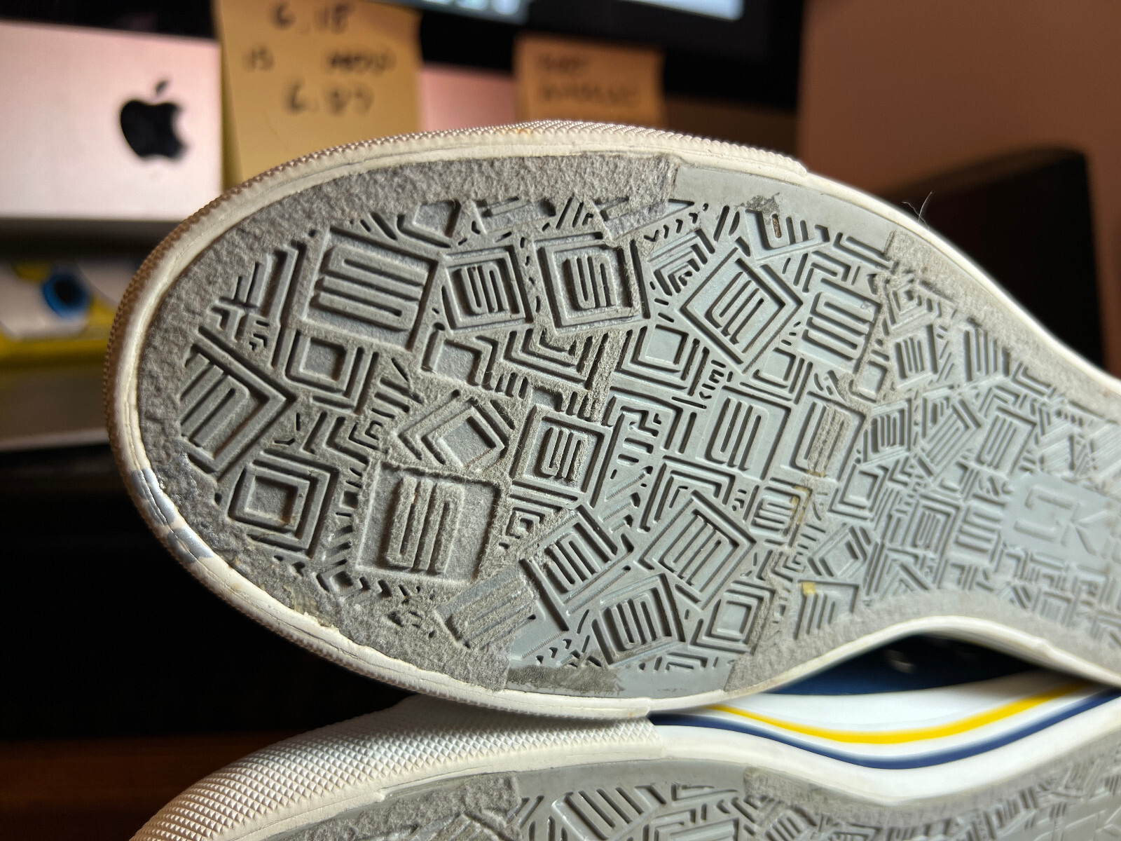 SKICKS University of Michigan Low Canvas Skate Sneakers Maize & Blue Women Sz 8M