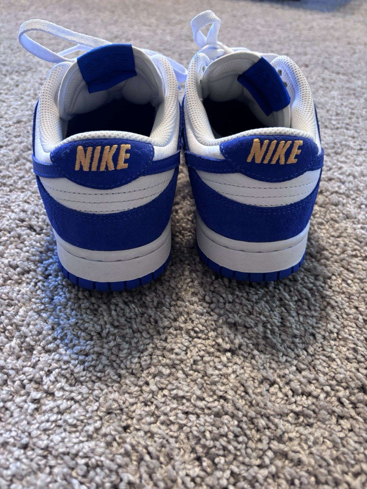 Nike women’s or Men’s Blue/White Colorblock Low Top Lace-Up FJ2253-901