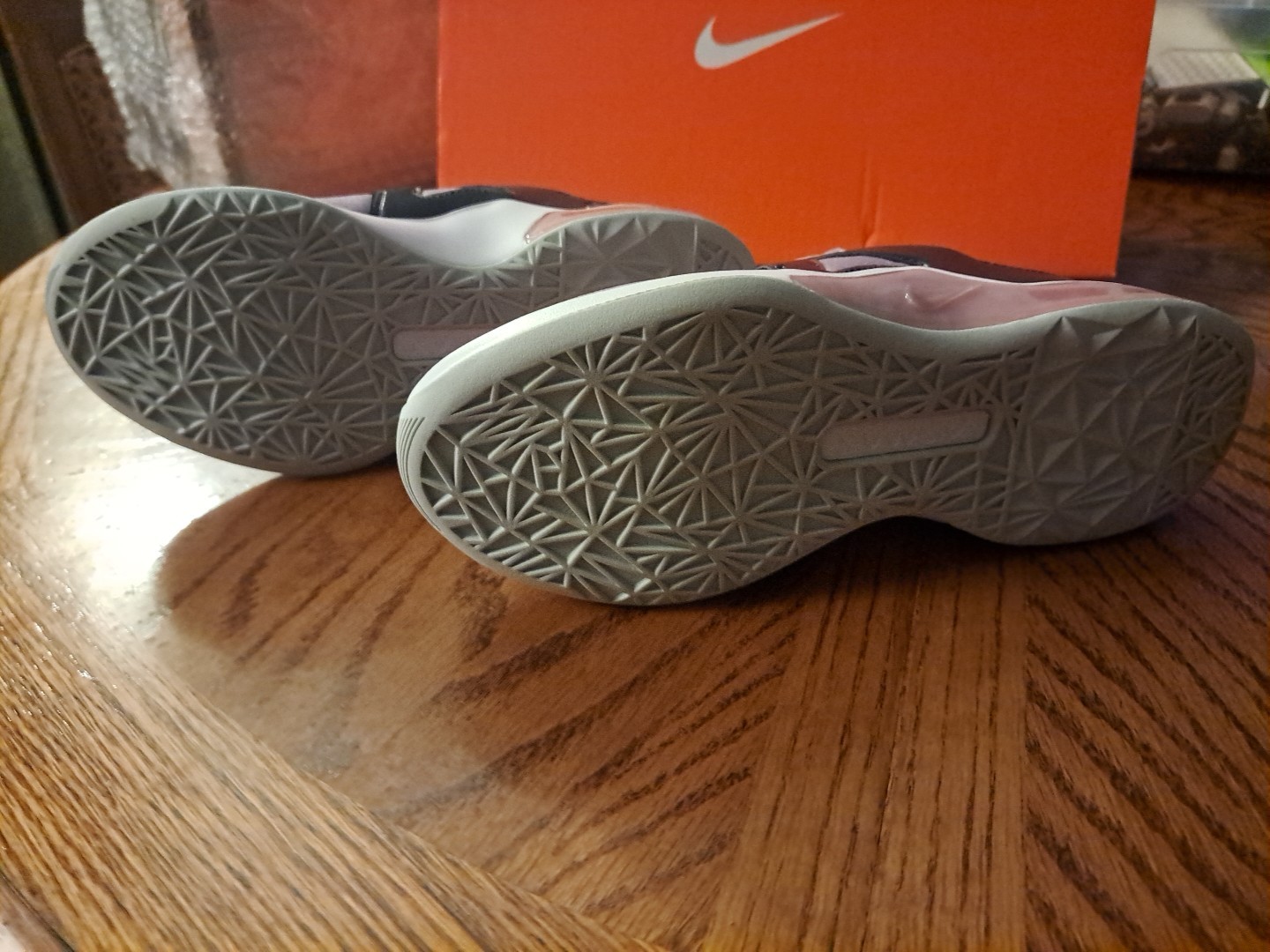 W Nike Air Max Bella TR 5 PRM, Plum Fog, Never Worn, Brand New