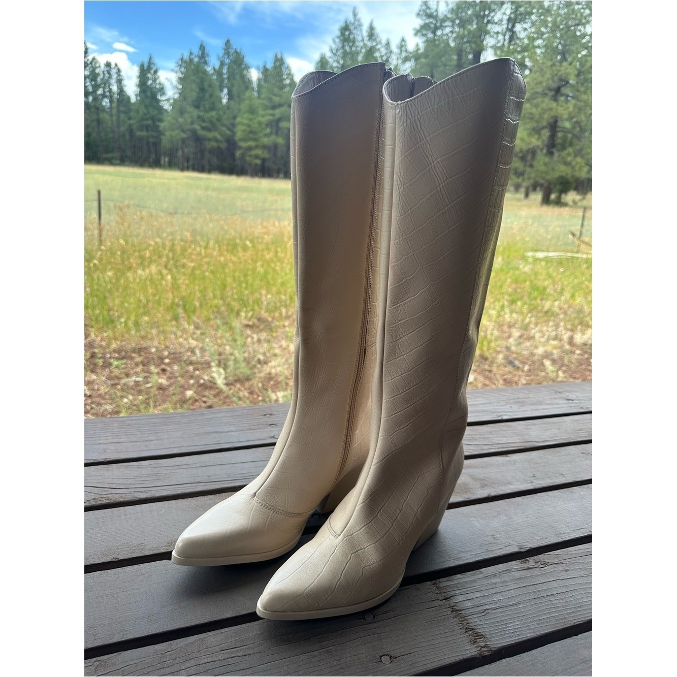 Seychelles Begging You Pointed Toe Croc Embossed Cream Leather Boots New!