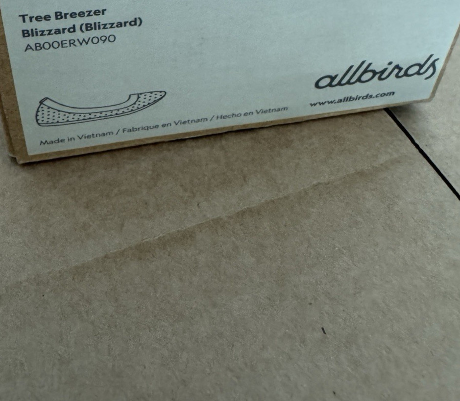 NEW ALLBIRDS TREE BREEZER BLIZZARD WHITE BALLET FLATS SHOES SLIP WOMENS SIZE 9