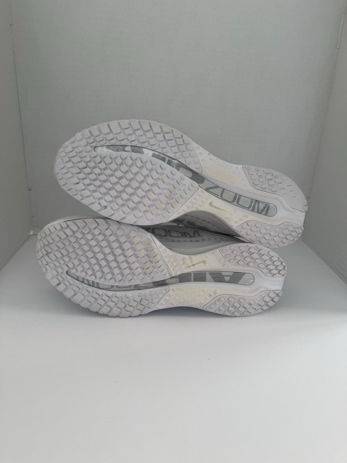 Women’s Nike Pegasus Premium “White / Metallic Silver